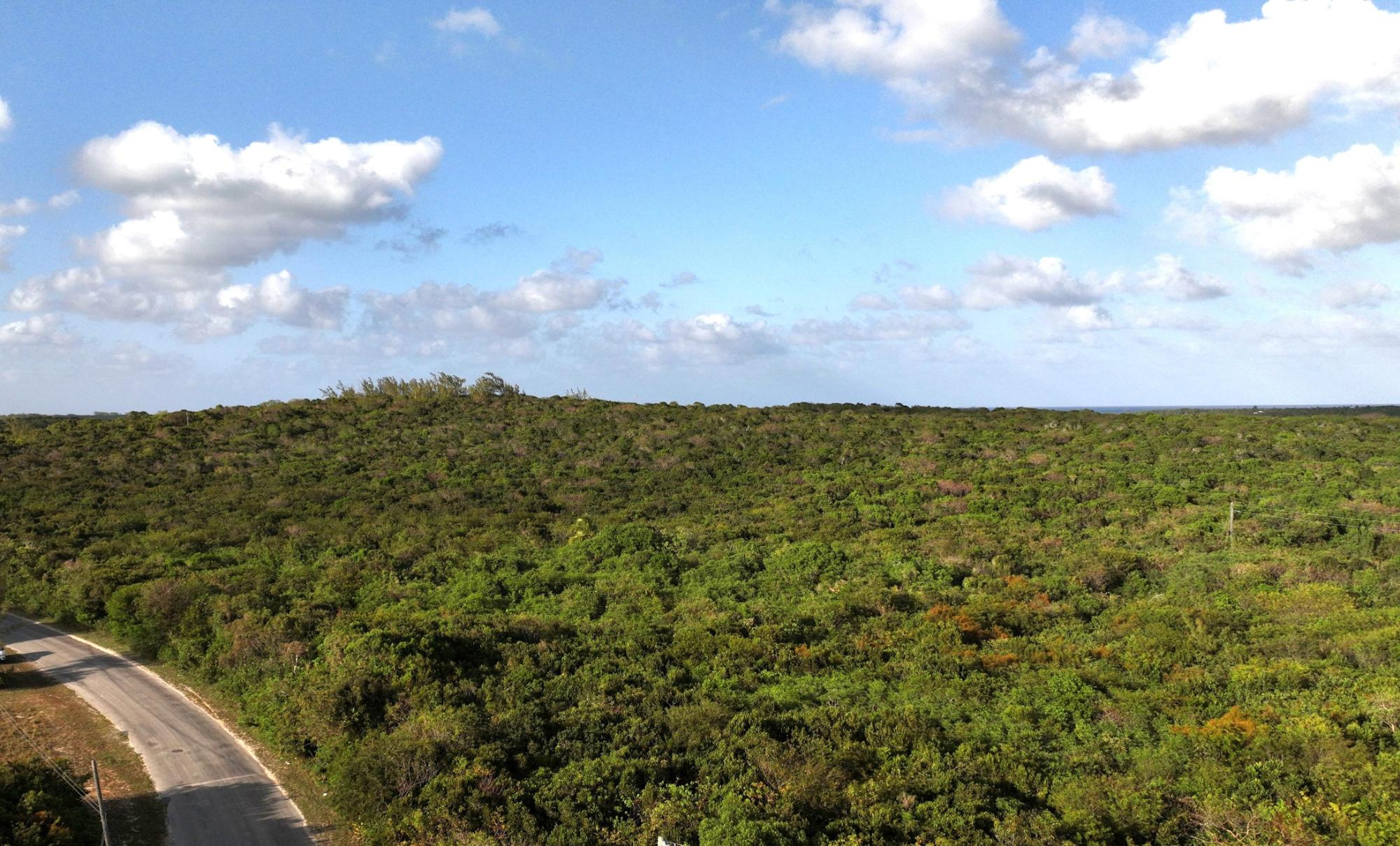 QUEEN’S HIGHWAY, SAVANNAH