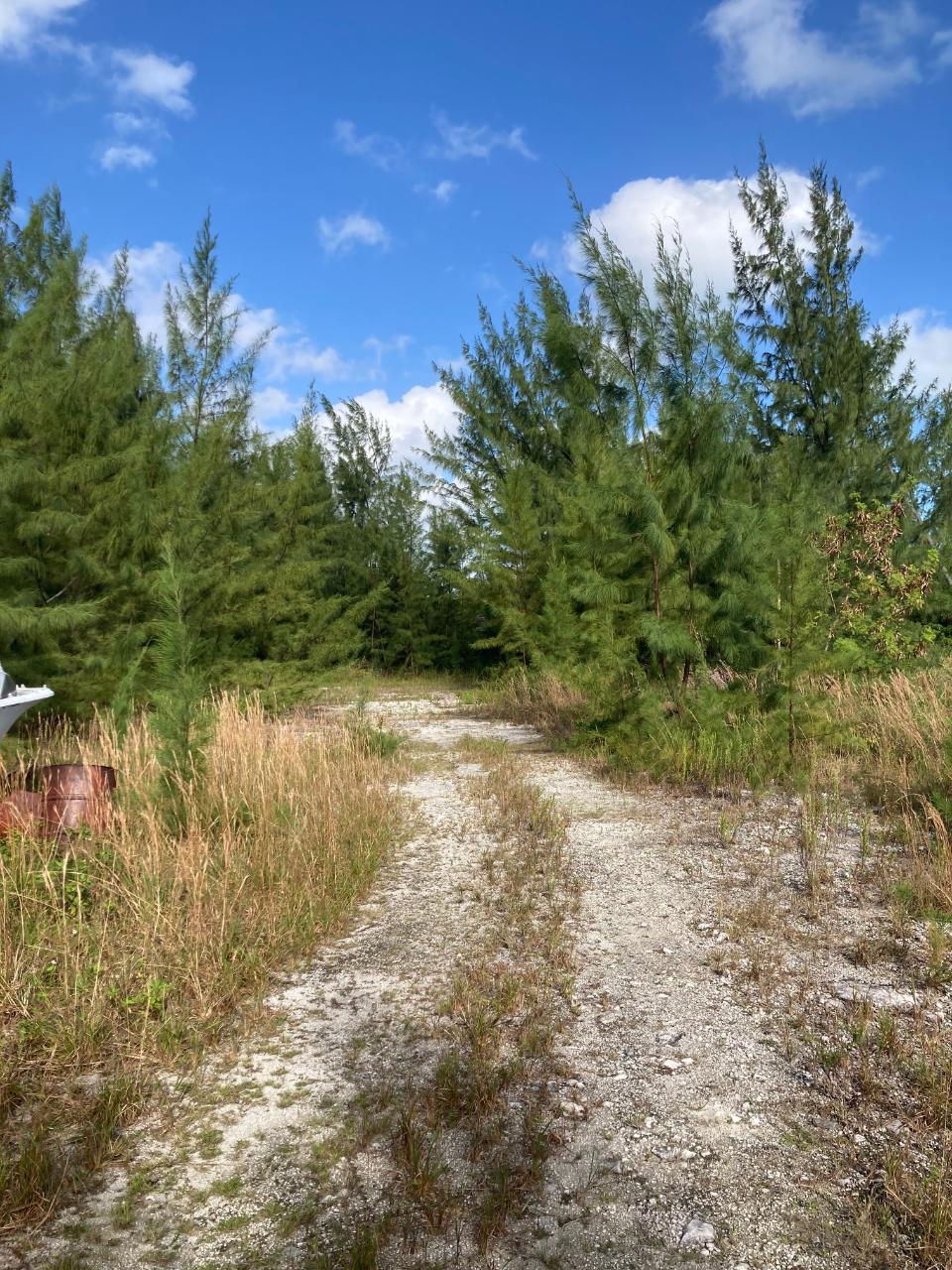 RAHMING ROAD