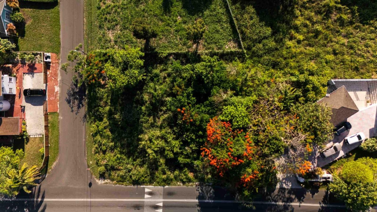 TROPICAL GARDENS RD.