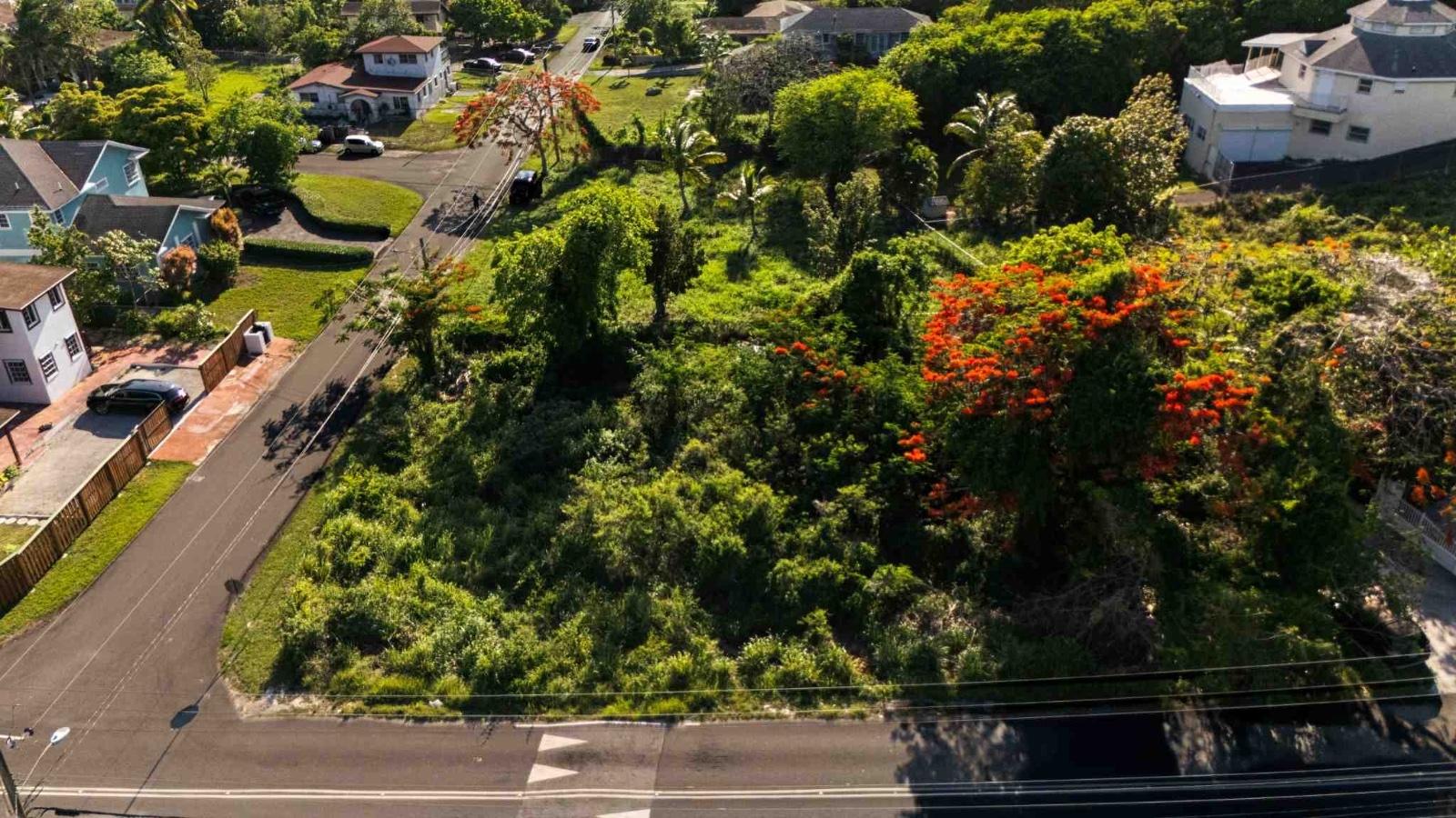 TROPICAL GARDENS RD.