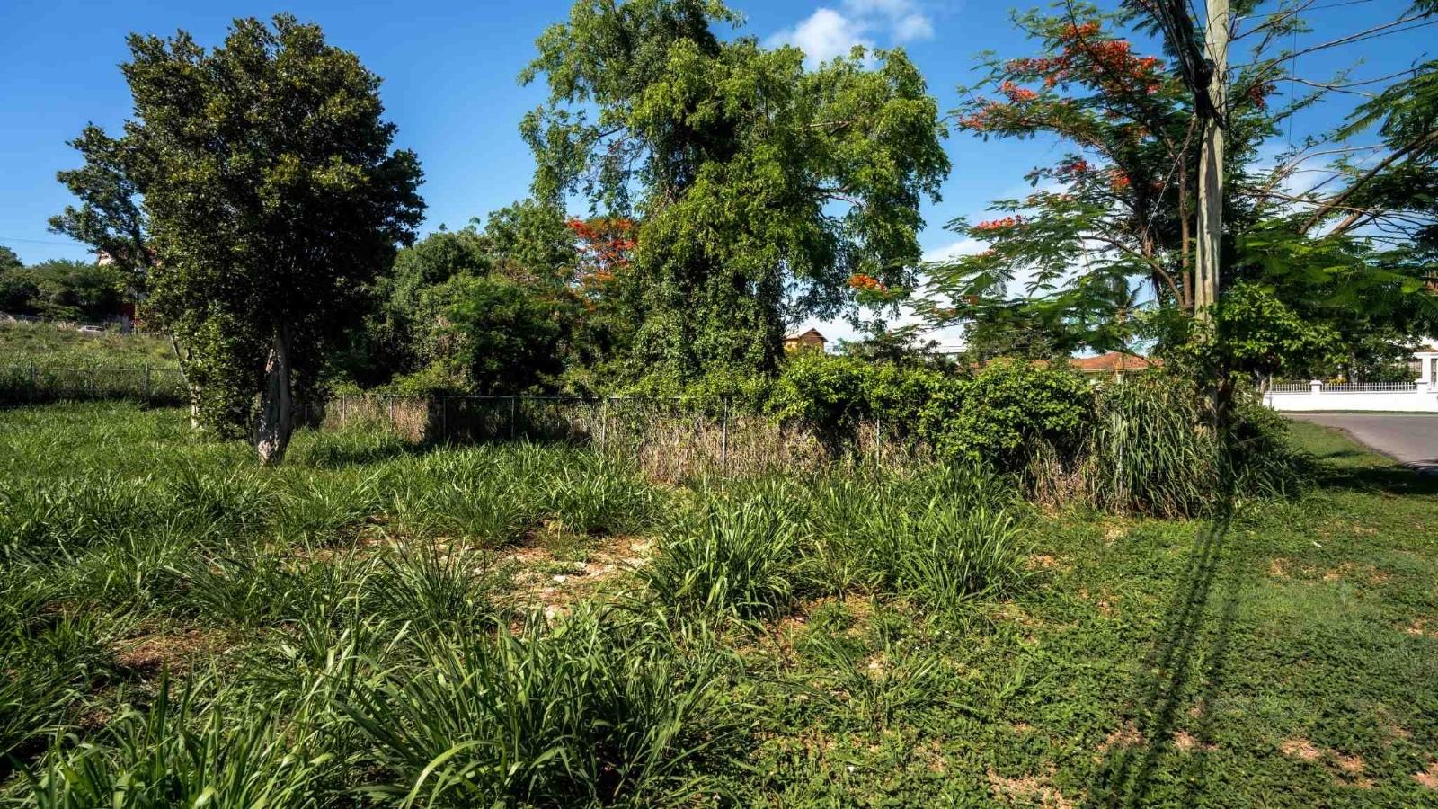 TROPICAL GARDENS RD.