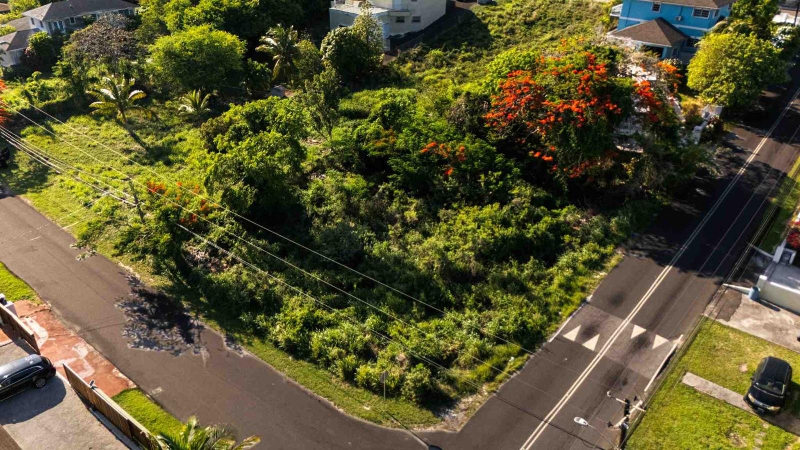 TROPICAL GARDENS RD.