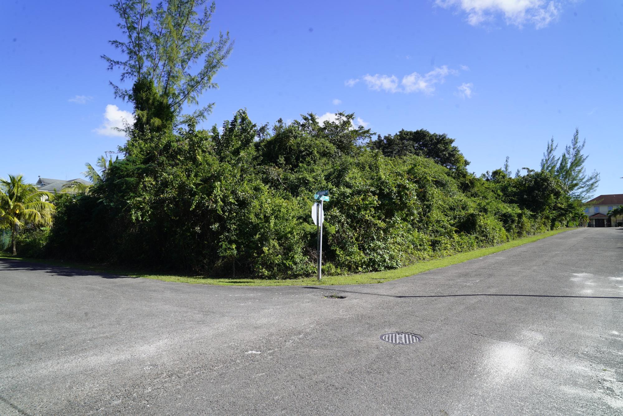 LOT #25 JACARANDA ESTATES