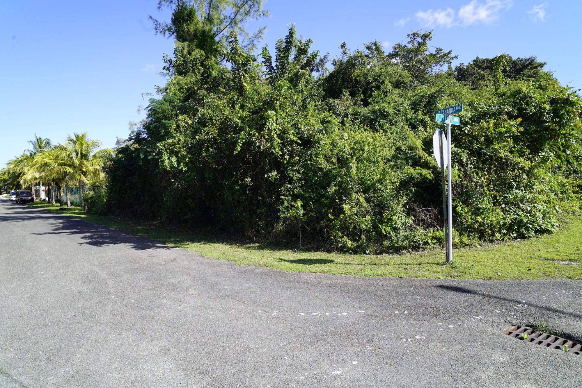 LOT #25 JACARANDA ESTATES