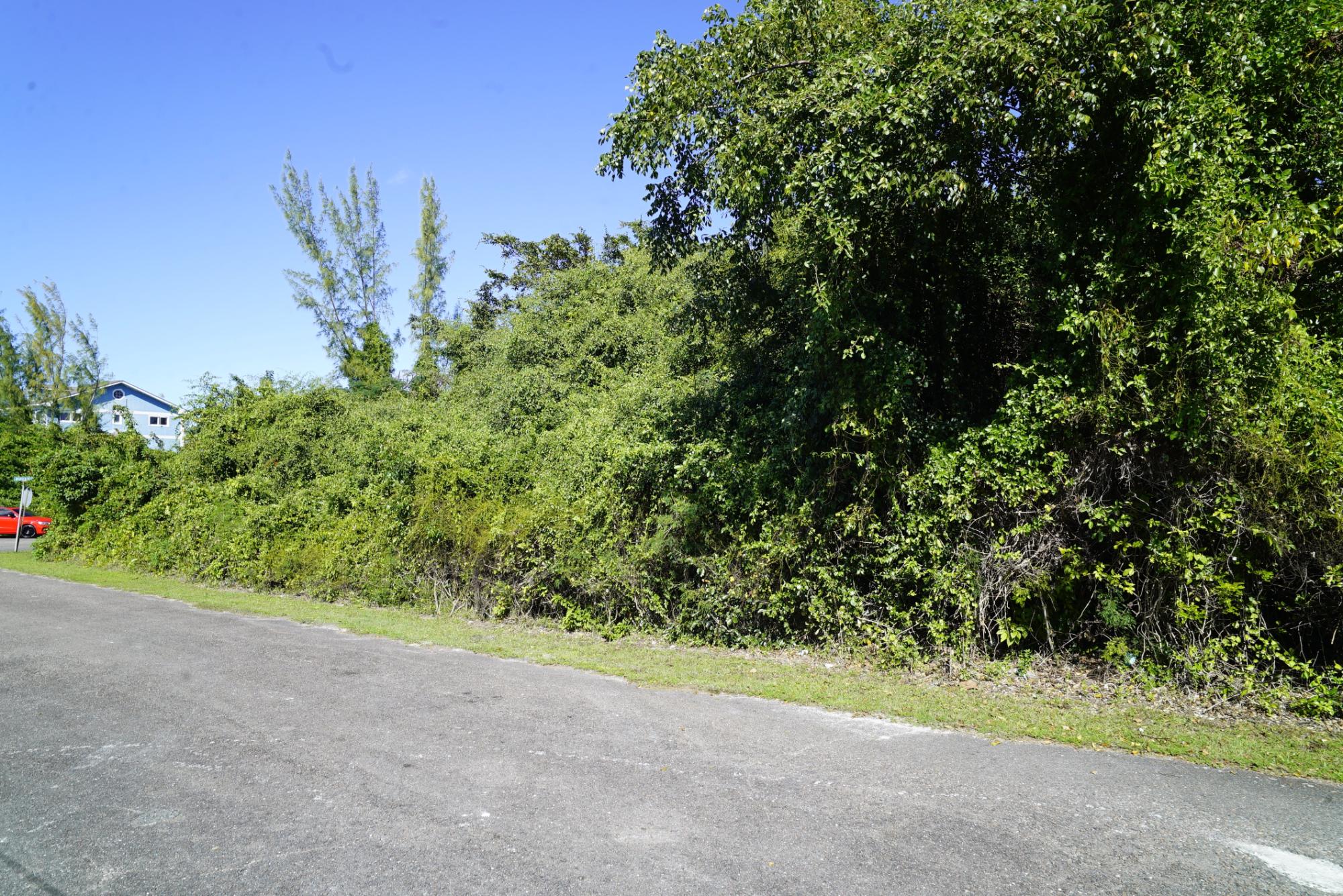 LOT #25 JACARANDA ESTATES