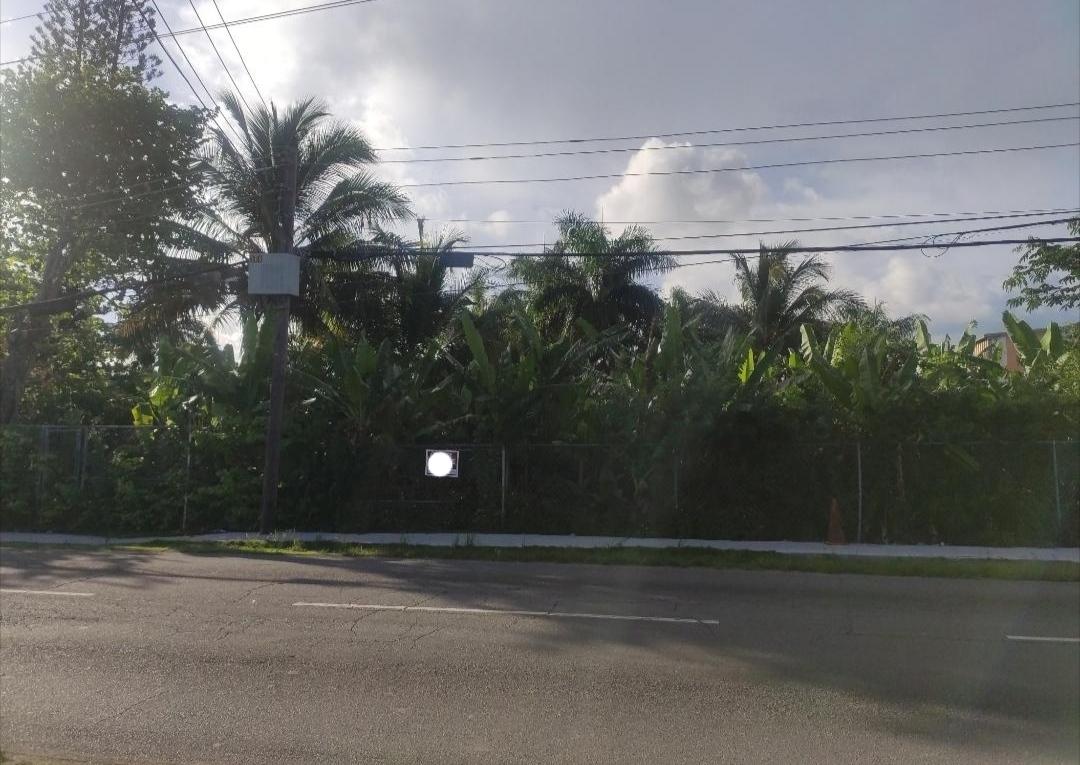 CHIPPINGHAM LOT RENTAL