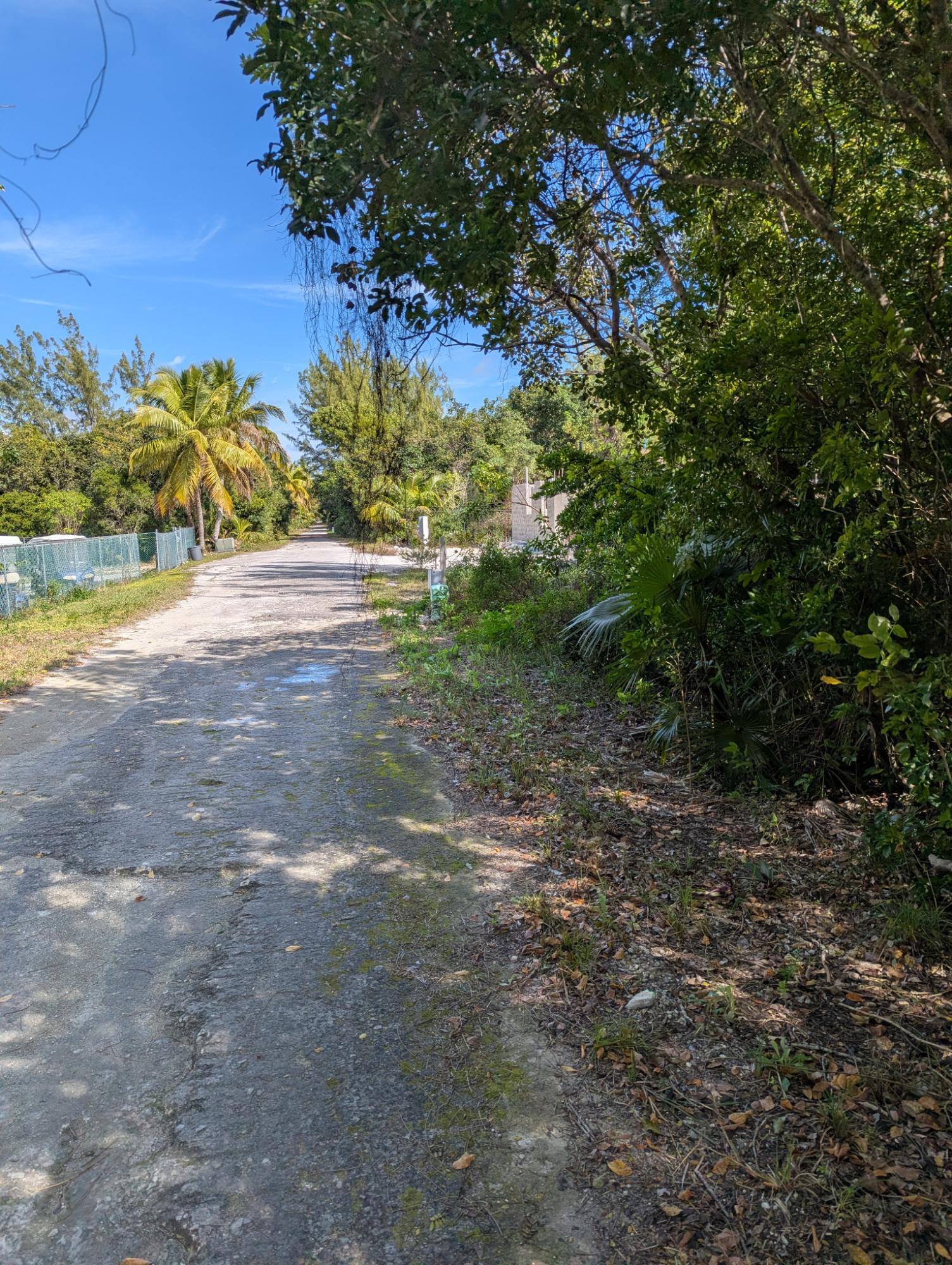 PONCIANA DRIVE BAHAMA PAL