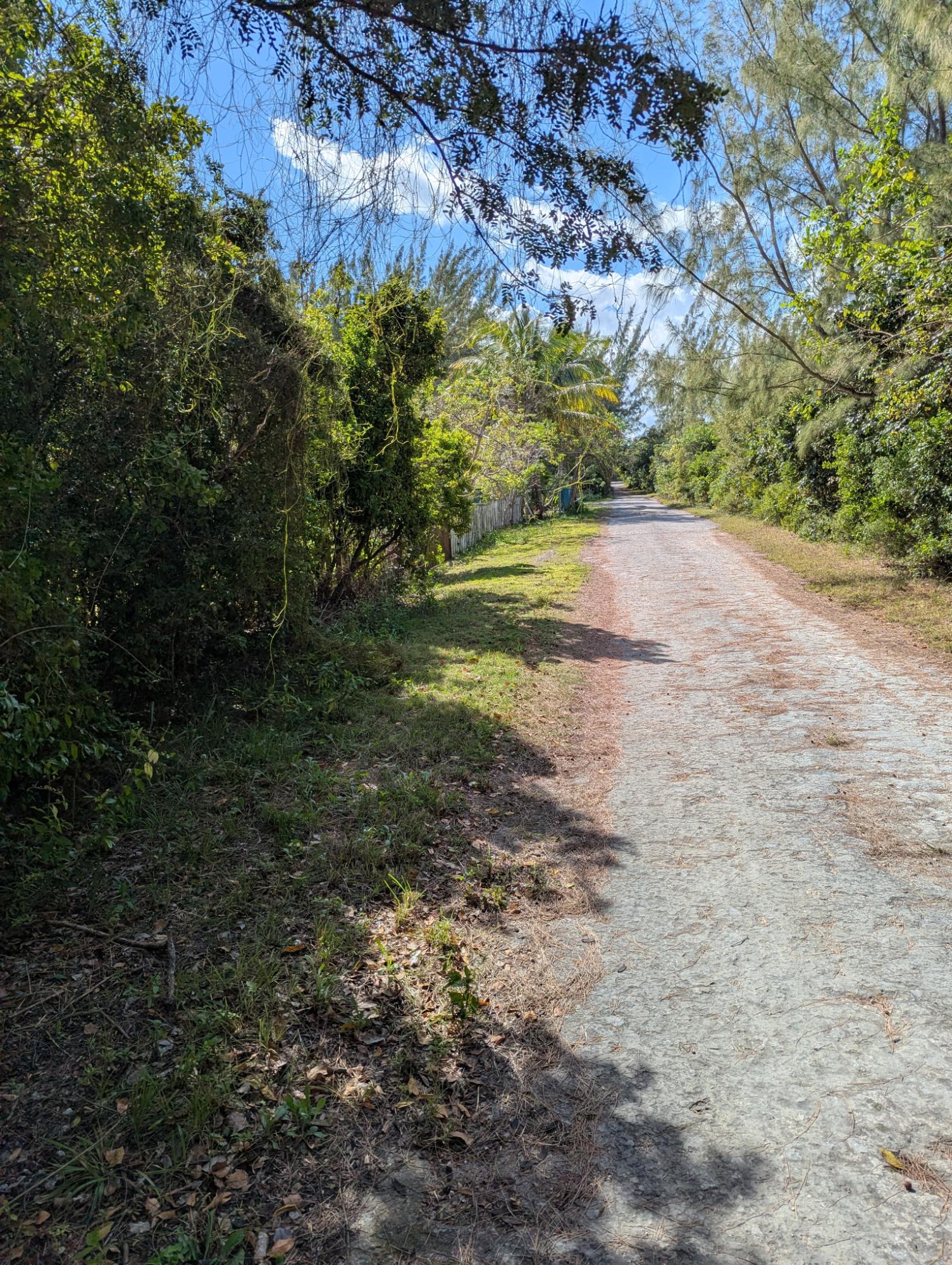 PONCIANA DRIVE BAHAMA PAL