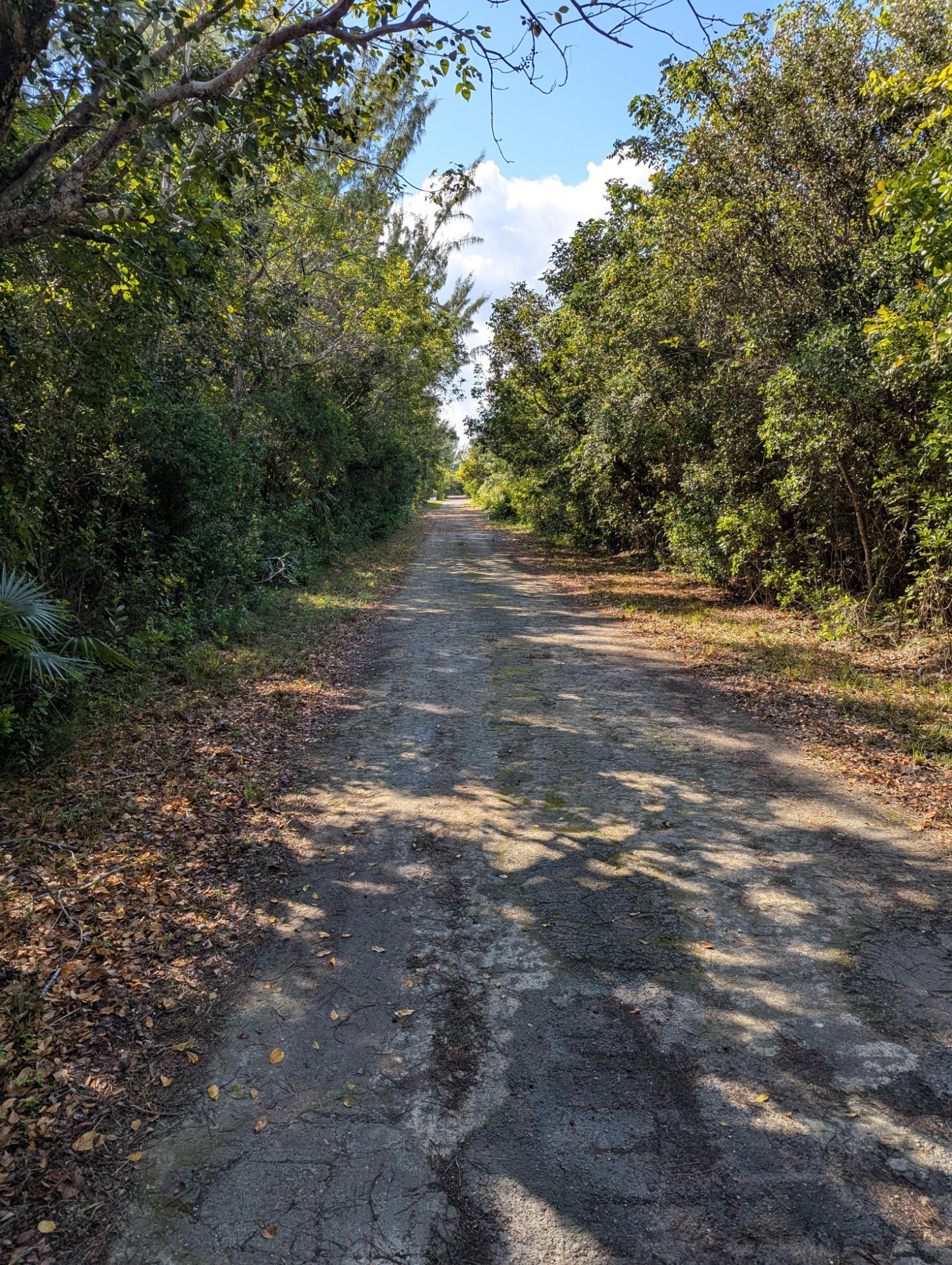 PONCIANA DRIVE BAHAMA PAL