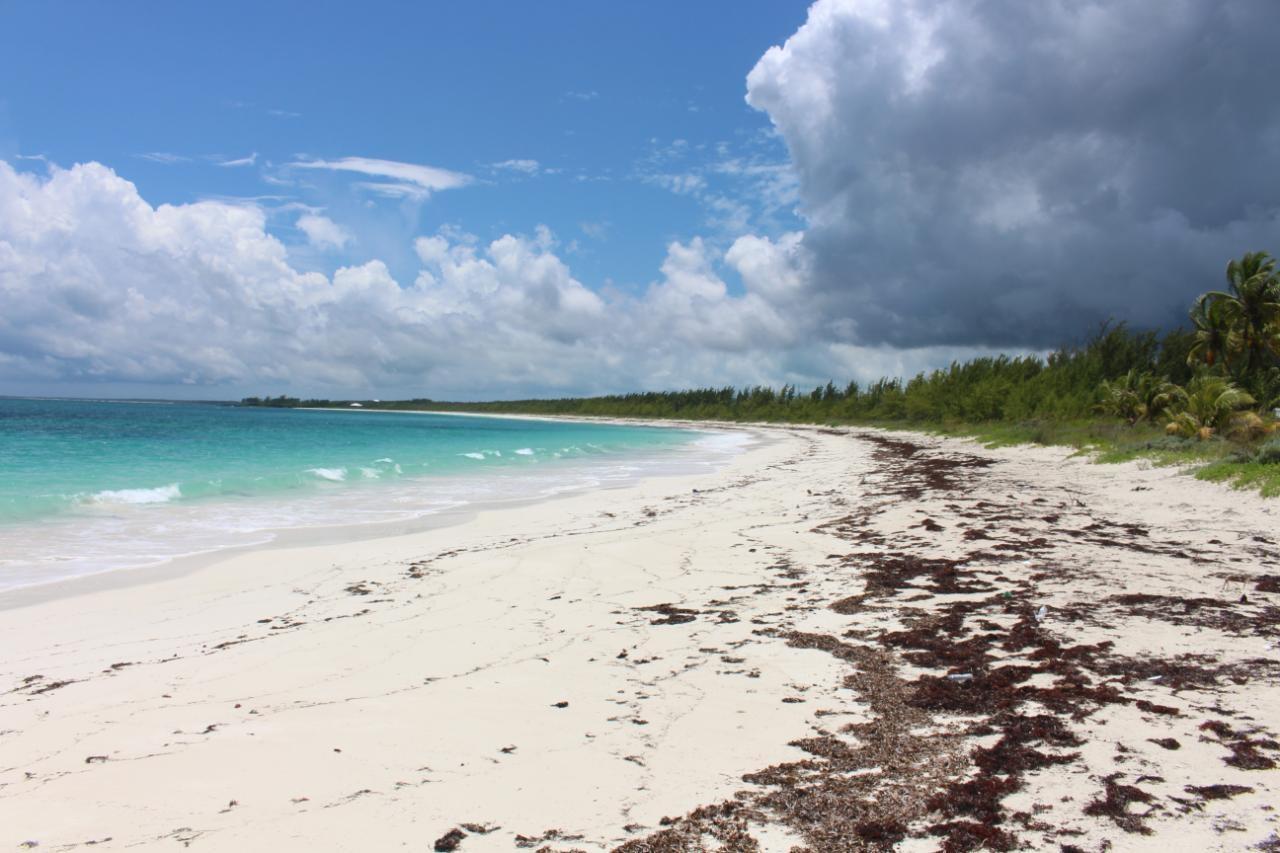 PONCIANA DRIVE BAHAMA PAL