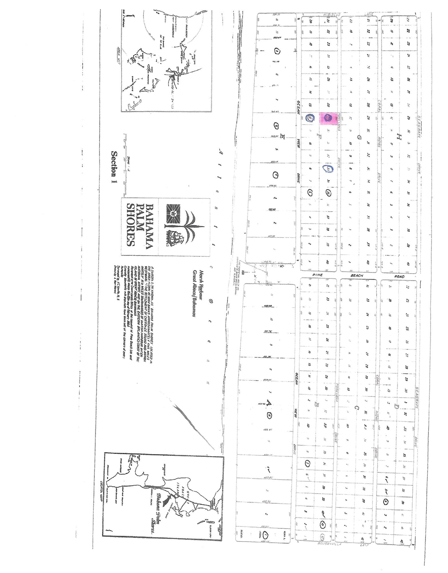 PONCIANA DRIVE BAHAMA PAL