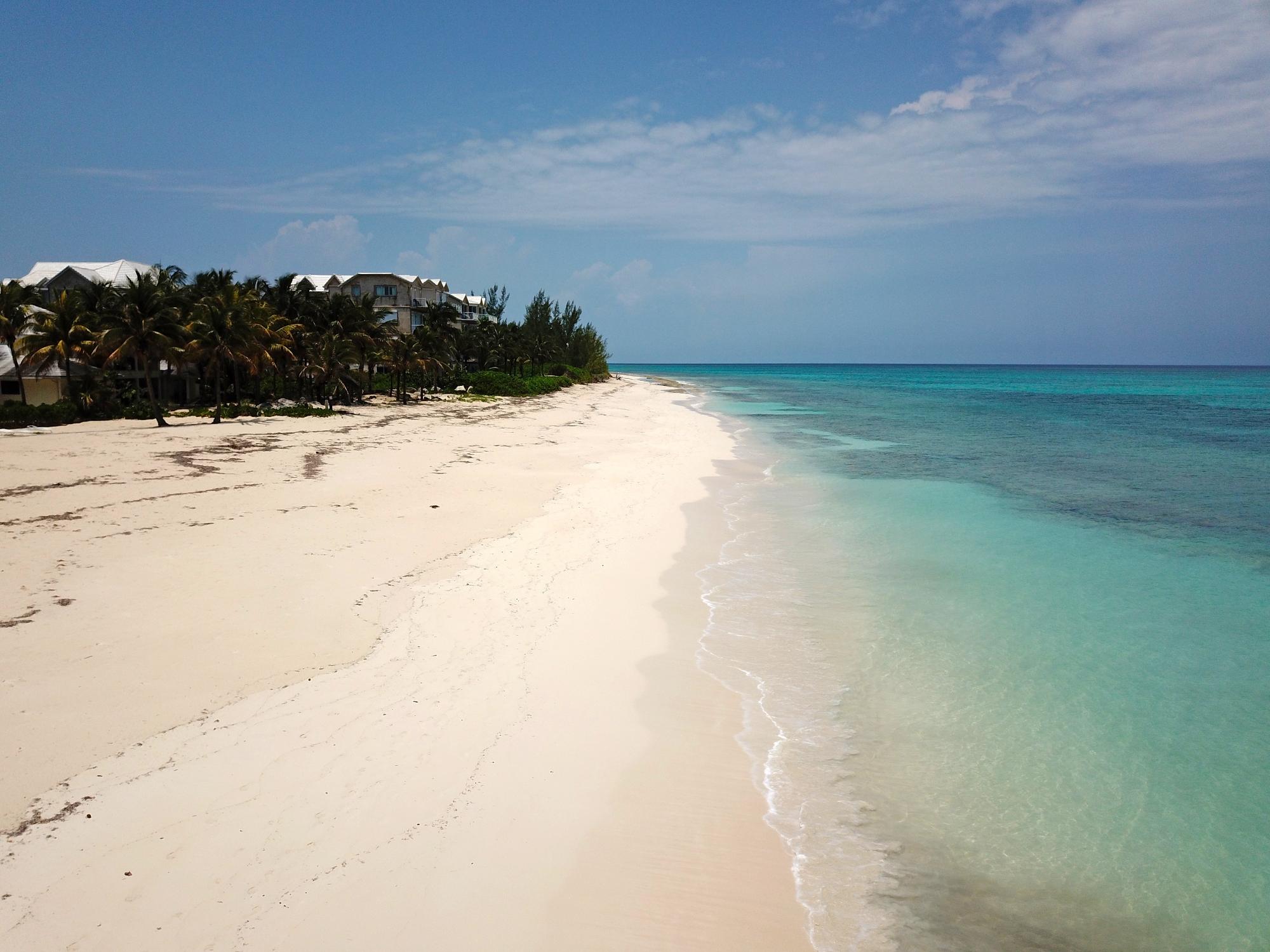 PALMSHORES LOVE BEACH WAL