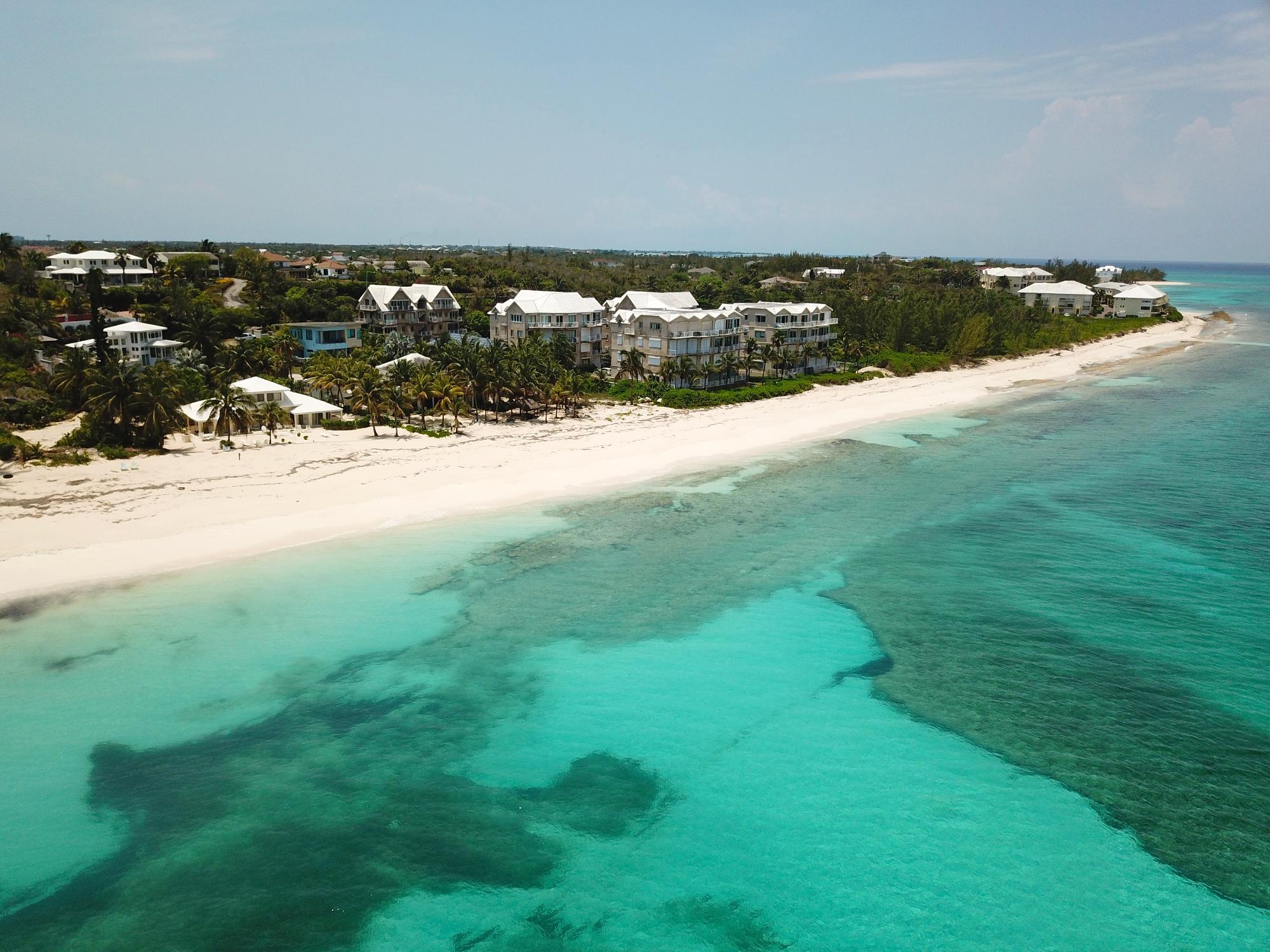 PALMSHORES LOVE BEACH WAL