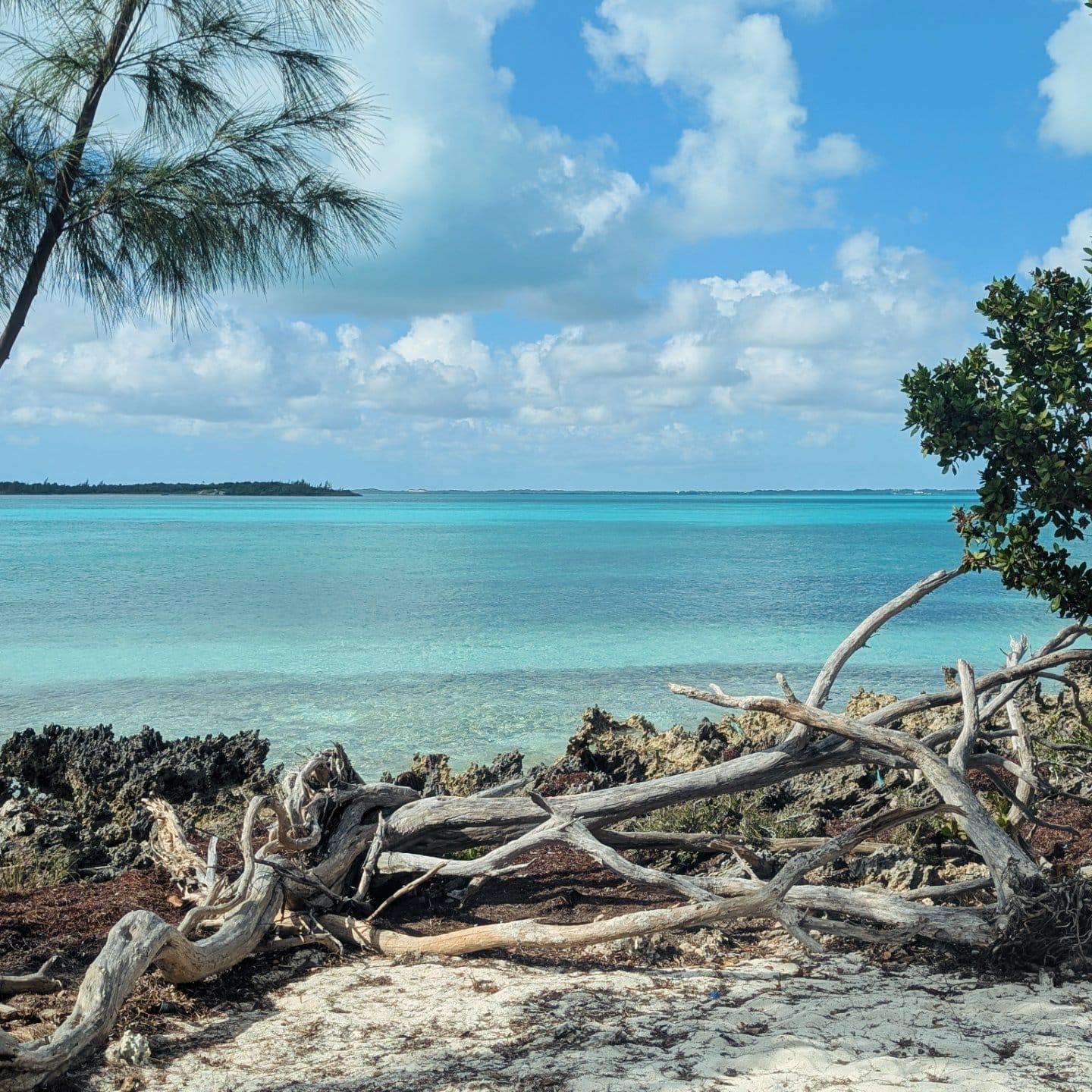 The Sanctuary Lot 4A