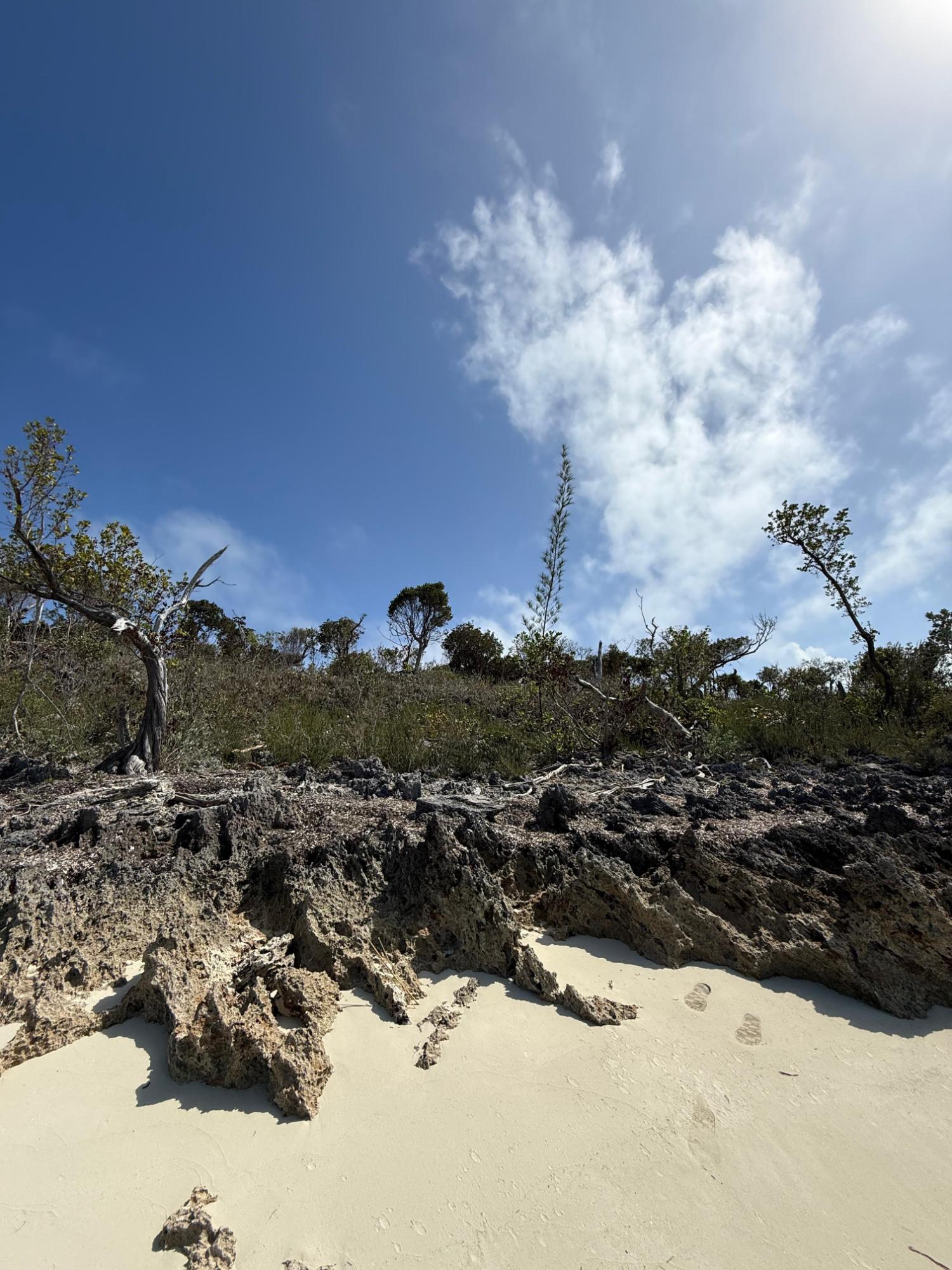 The Sanctuary Lot 4A