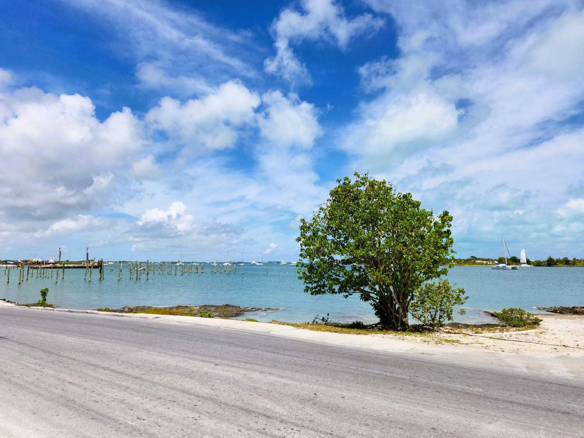 ELIZABETH AVE & BAY STREET