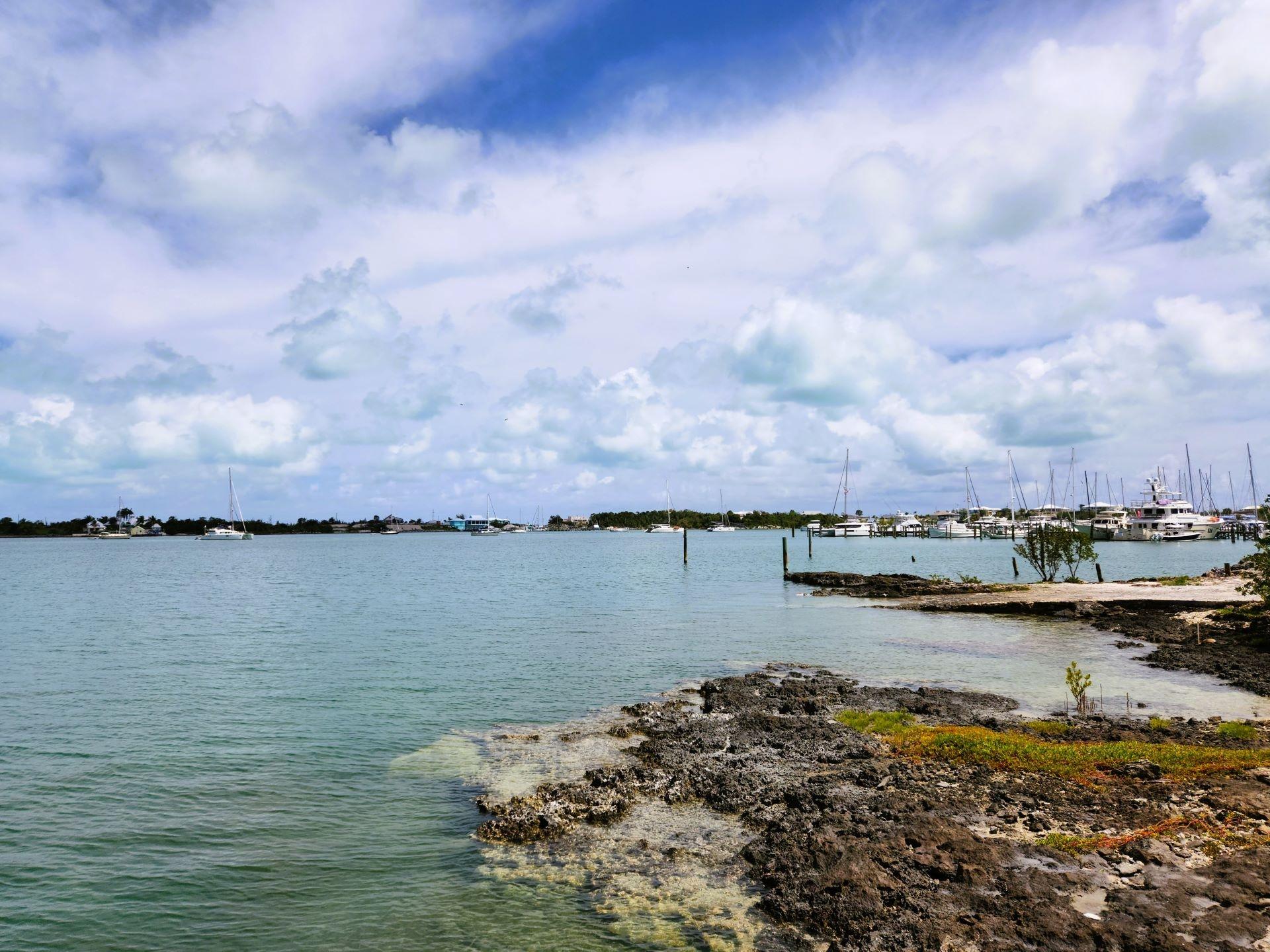 ELIZABETH AVE & BAY STREET