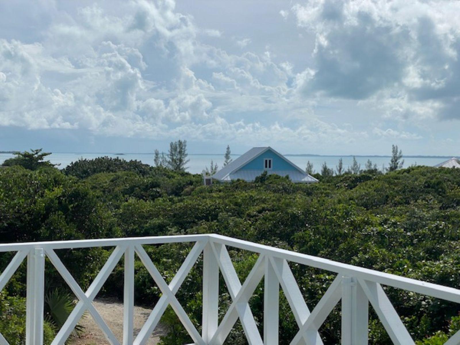 PURA VIDA HOUSE DOLPHIN