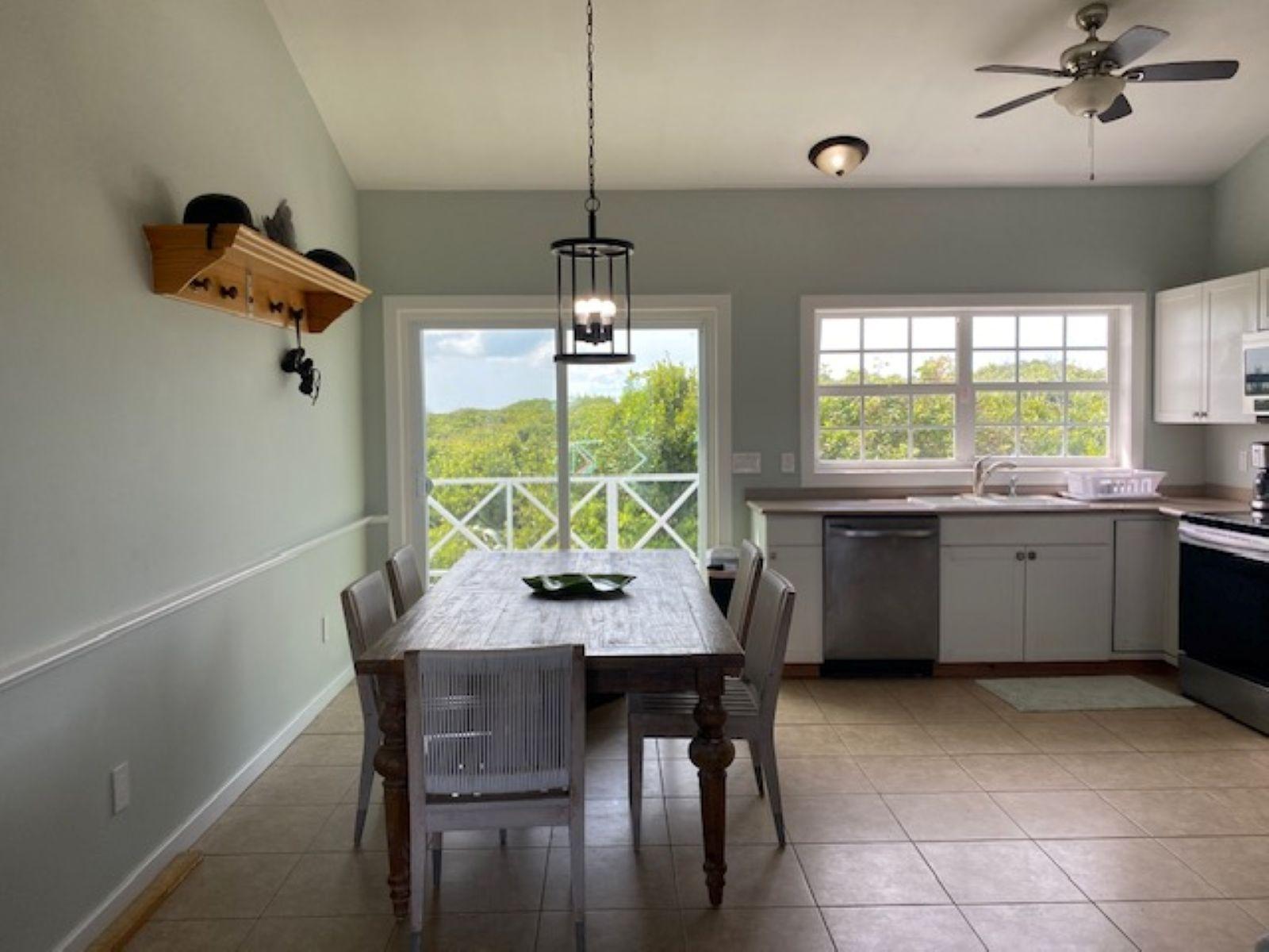 PURA VIDA HOUSE DOLPHIN