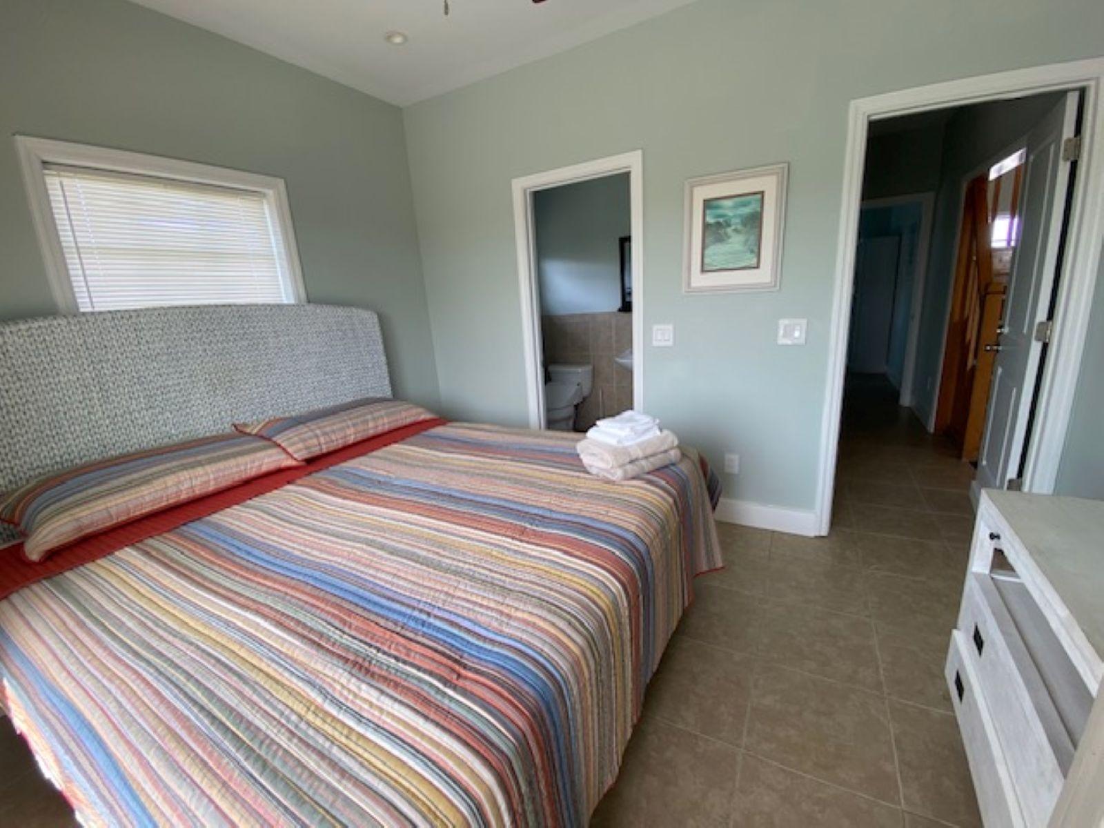 PURA VIDA HOUSE DOLPHIN