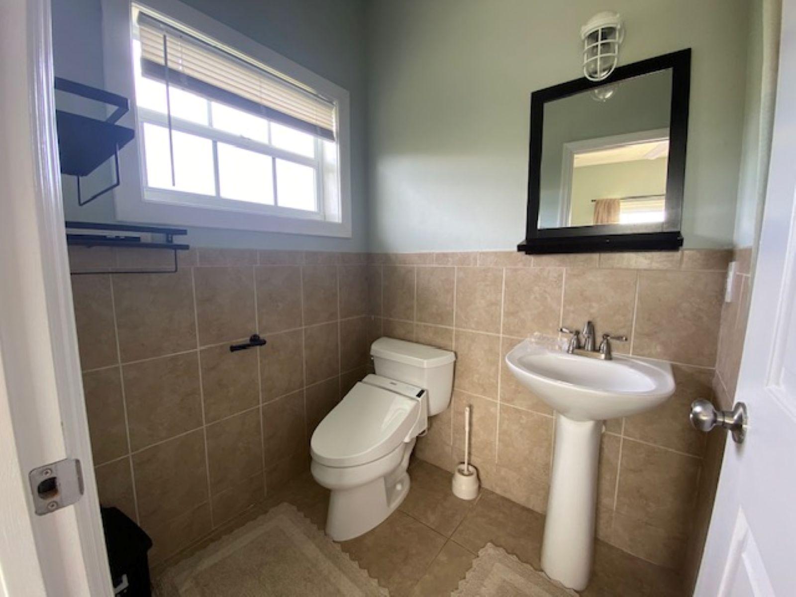 PURA VIDA HOUSE DOLPHIN