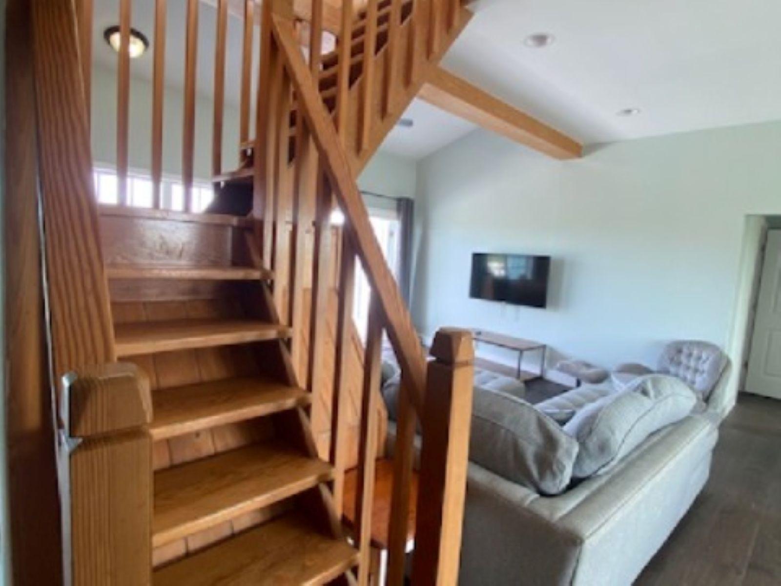 PURA VIDA HOUSE DOLPHIN