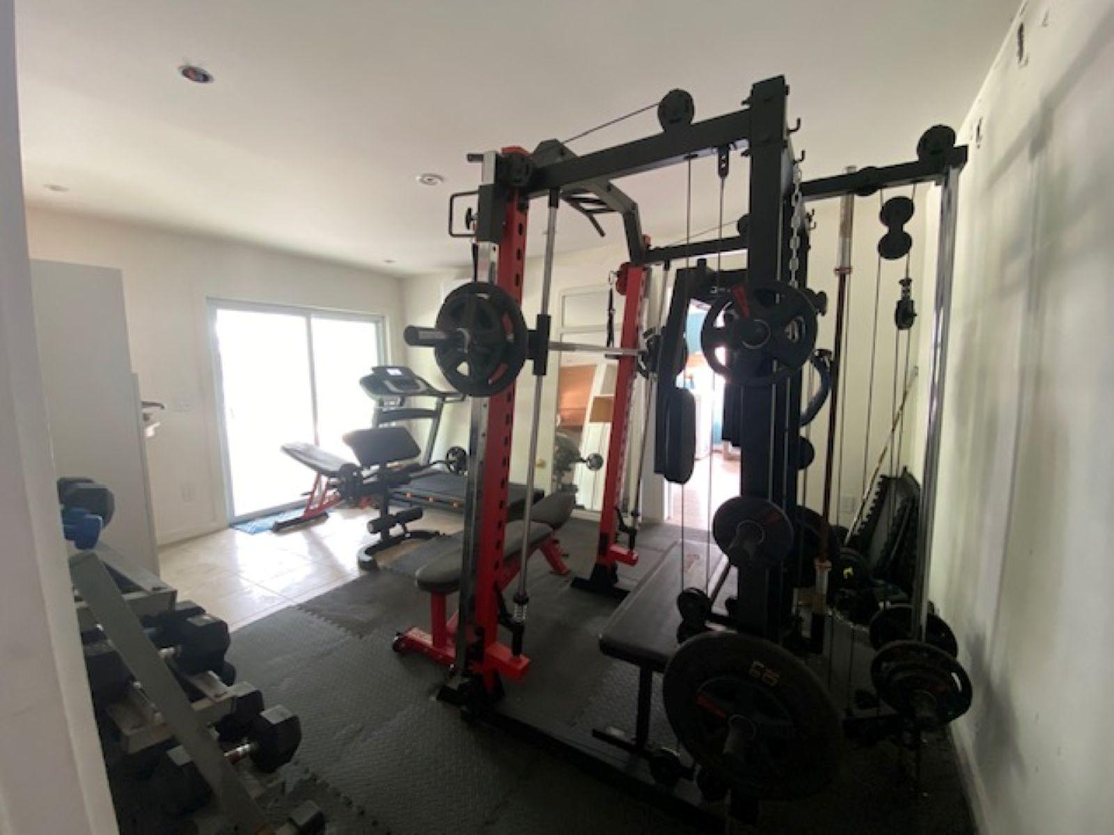 PURA VIDA HOUSE DOLPHIN