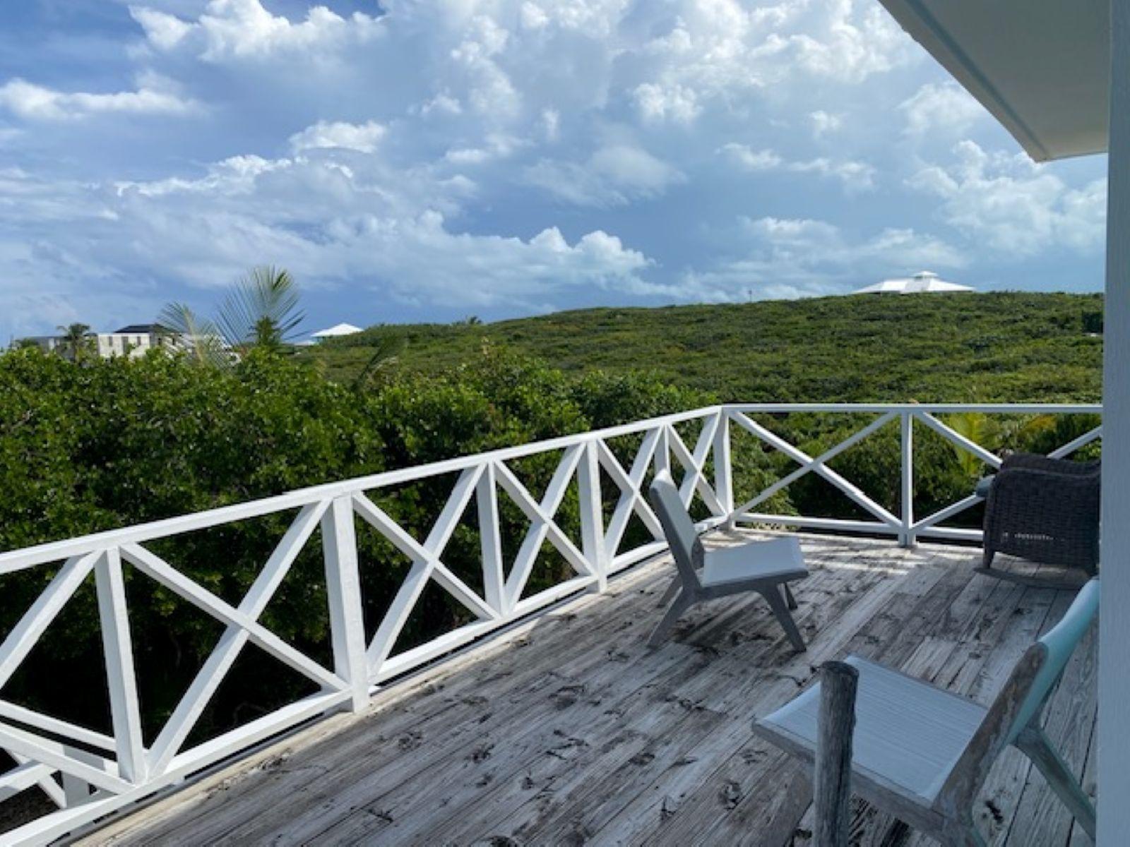 PURA VIDA HOUSE DOLPHIN