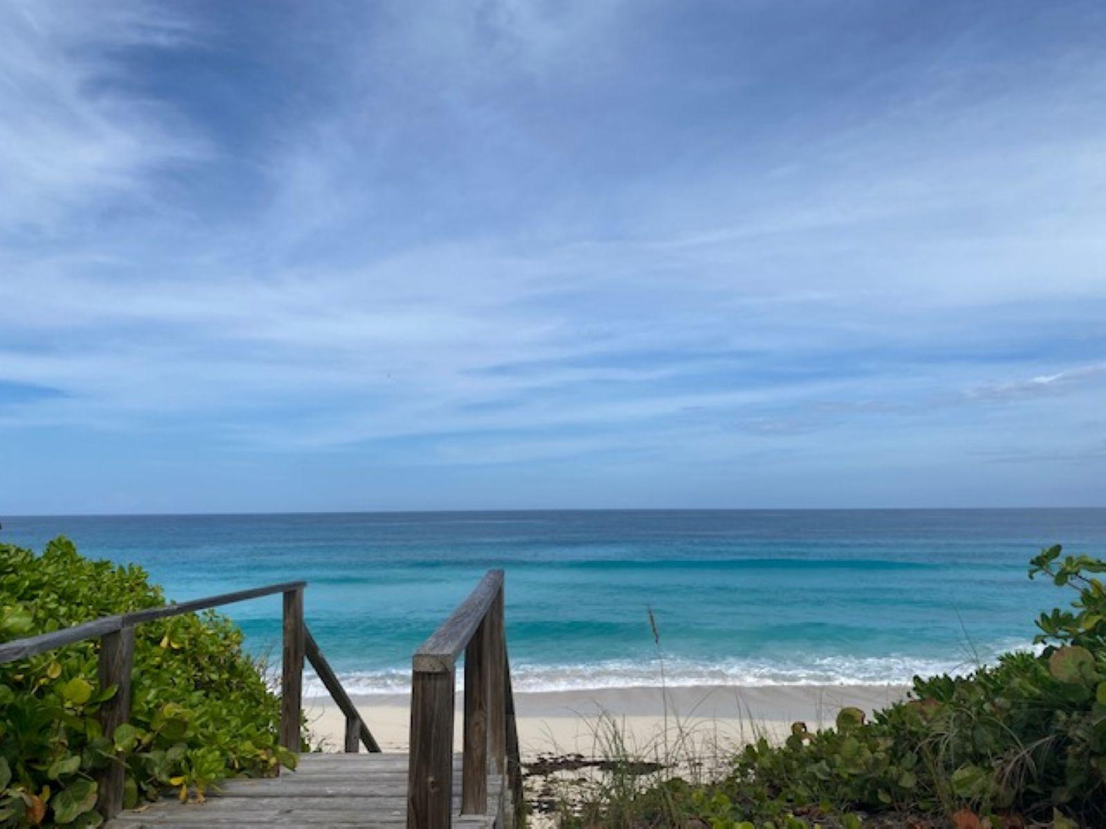 PURA VIDA HOUSE DOLPHIN