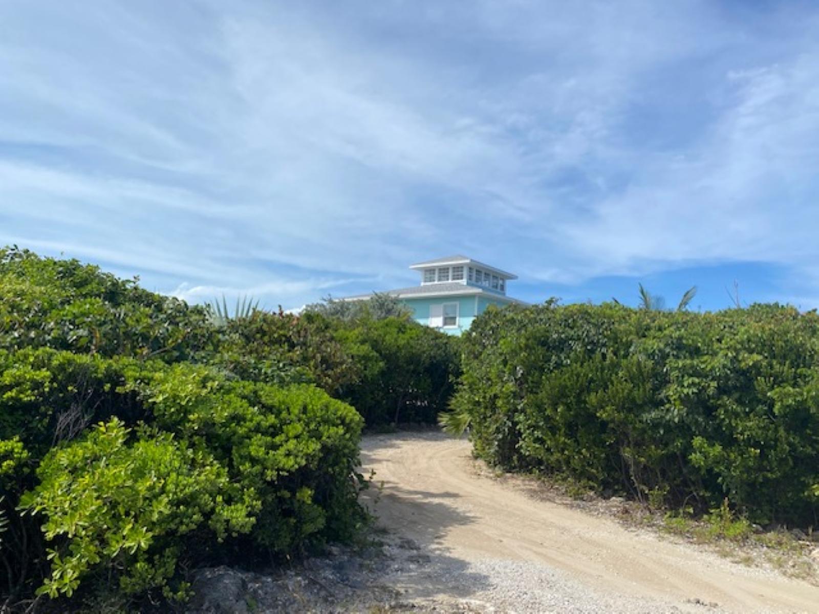 PURA VIDA HOUSE DOLPHIN