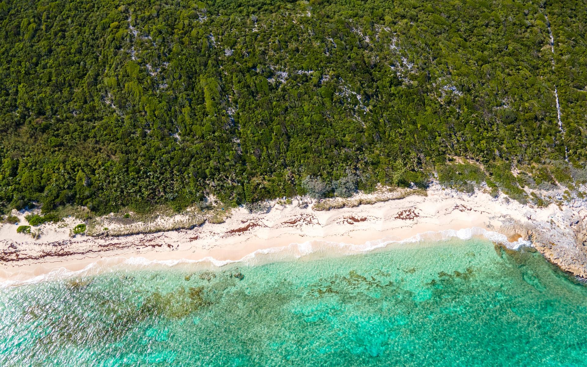 250 ACRE TRACT, GRAYS