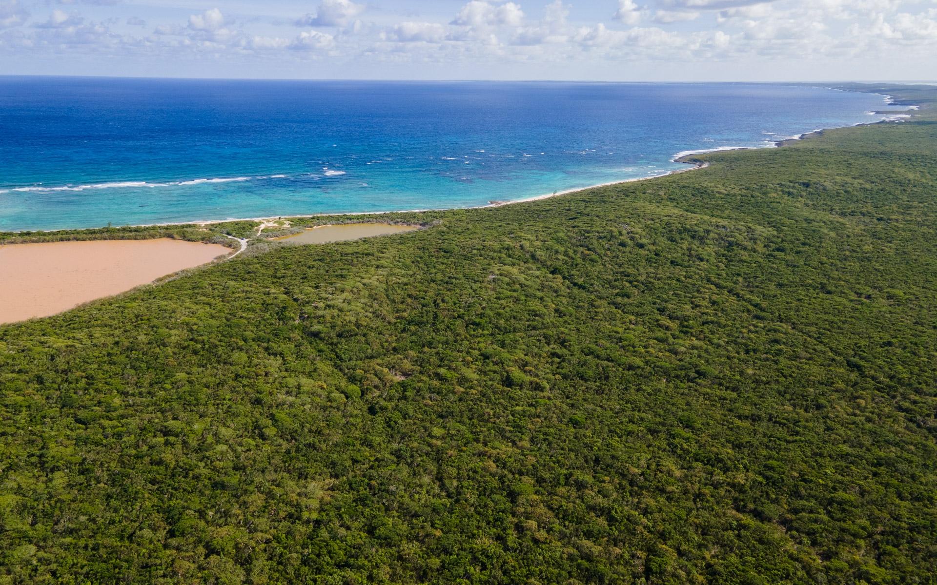 250 ACRE TRACT, GRAYS