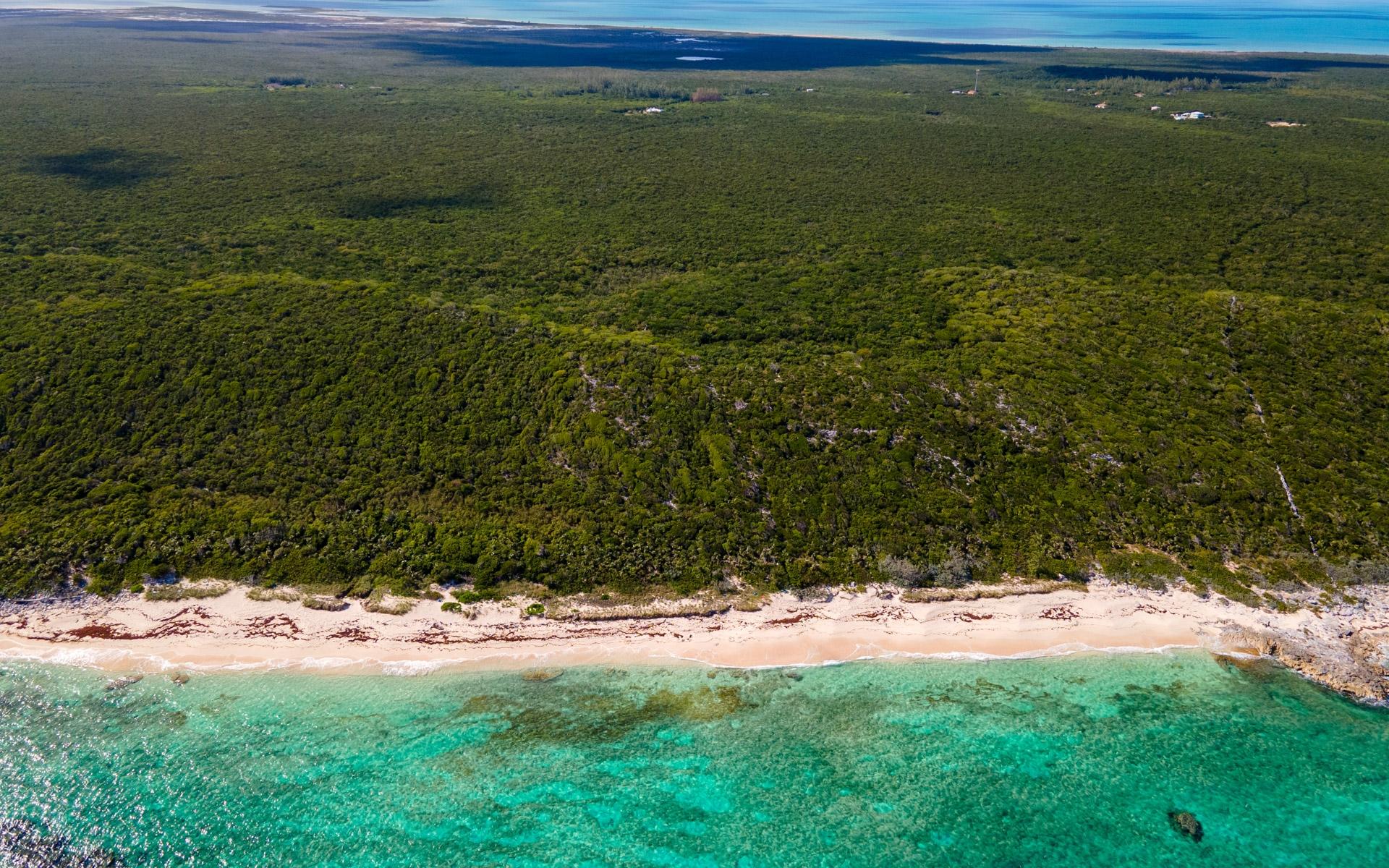 250 ACRE TRACT, GRAYS