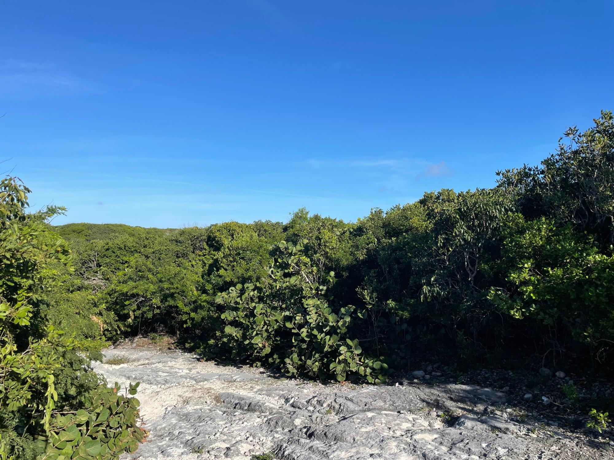 ELEUTHERA ISLAND SHORES
