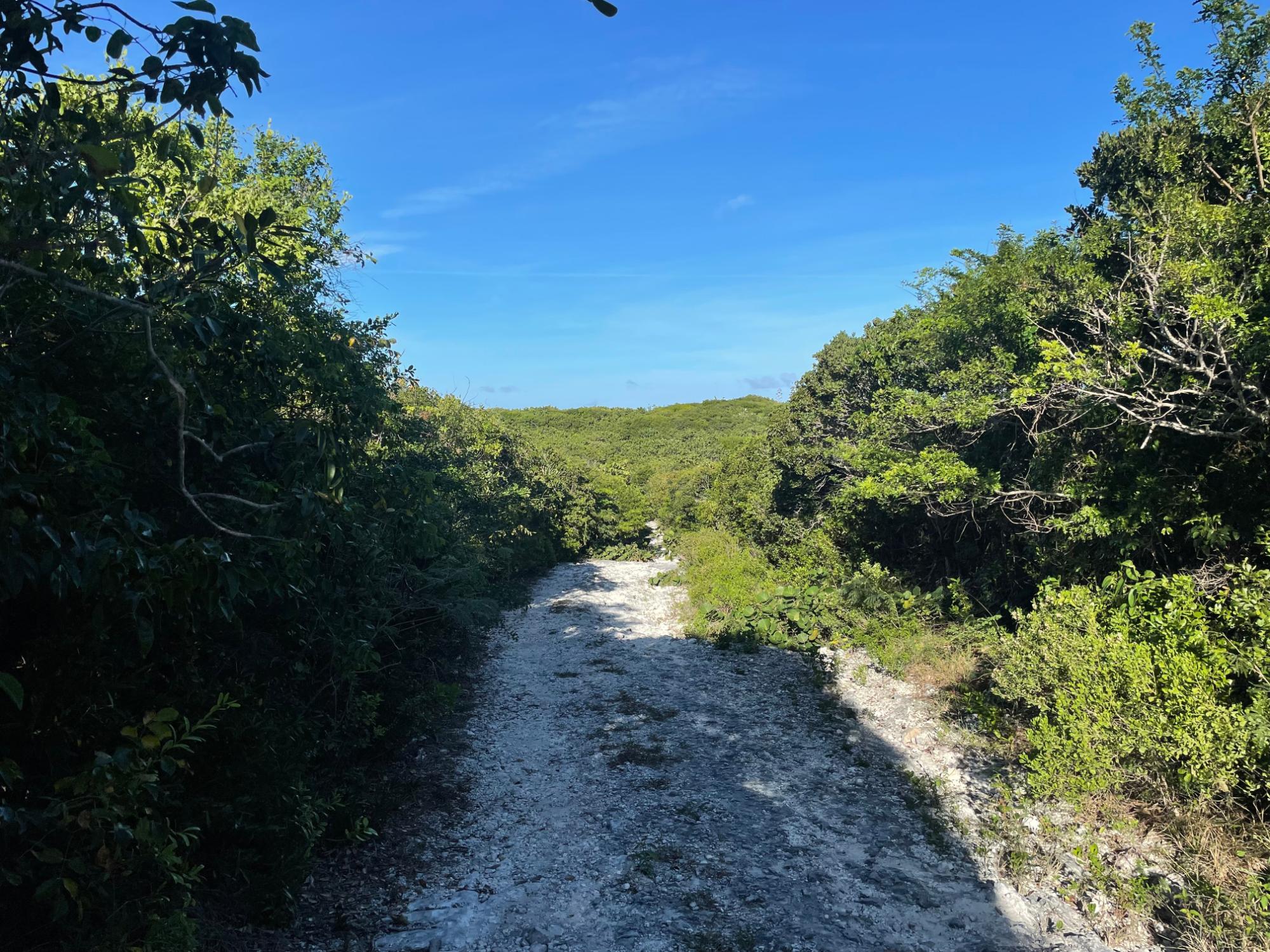 ELEUTHERA ISLAND SHORES