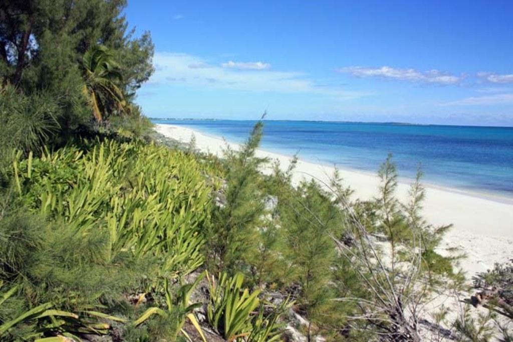 ABACO L0T 5.42 ACRES