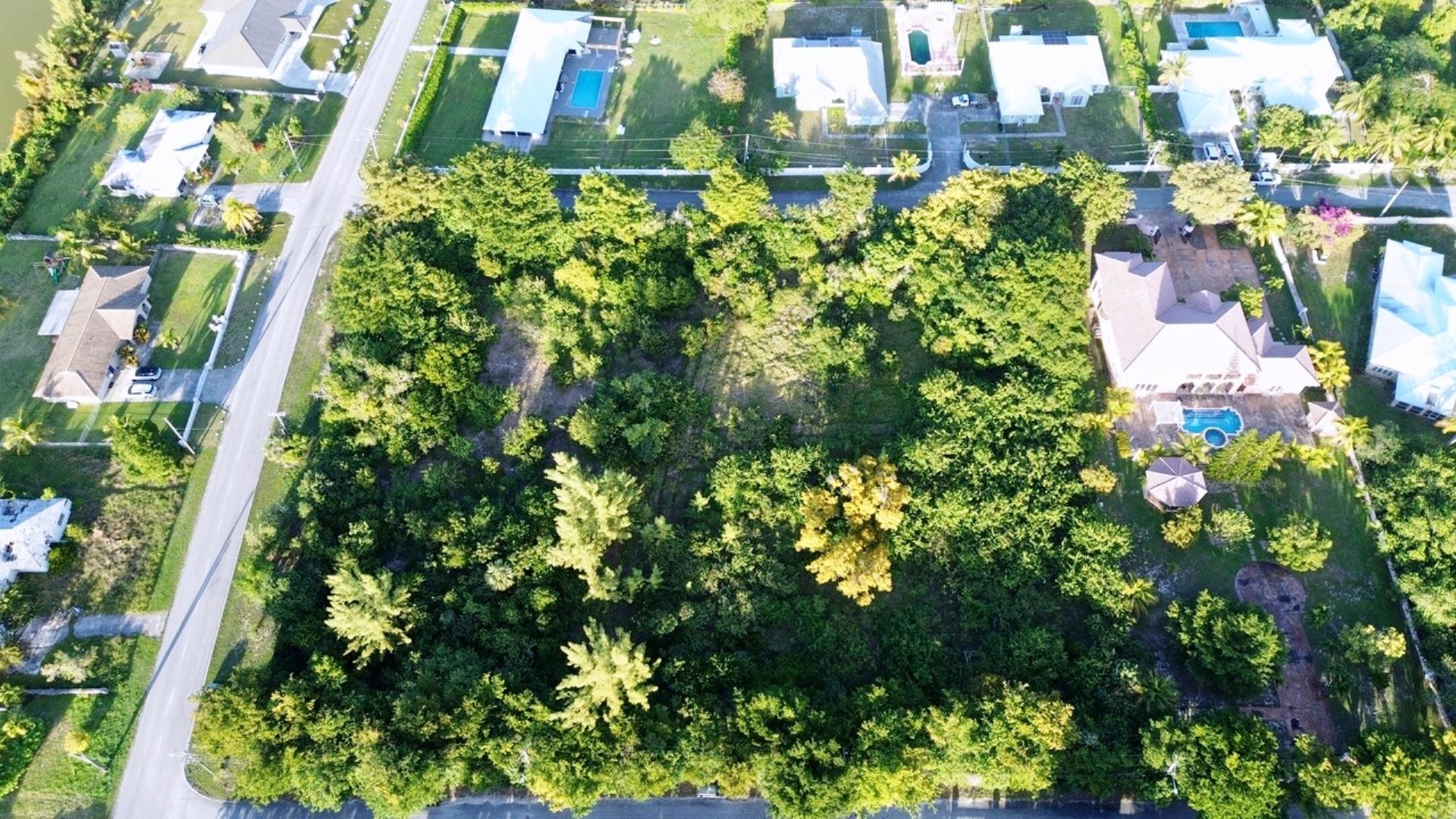 113 & 115, LUCAYAN BEACH