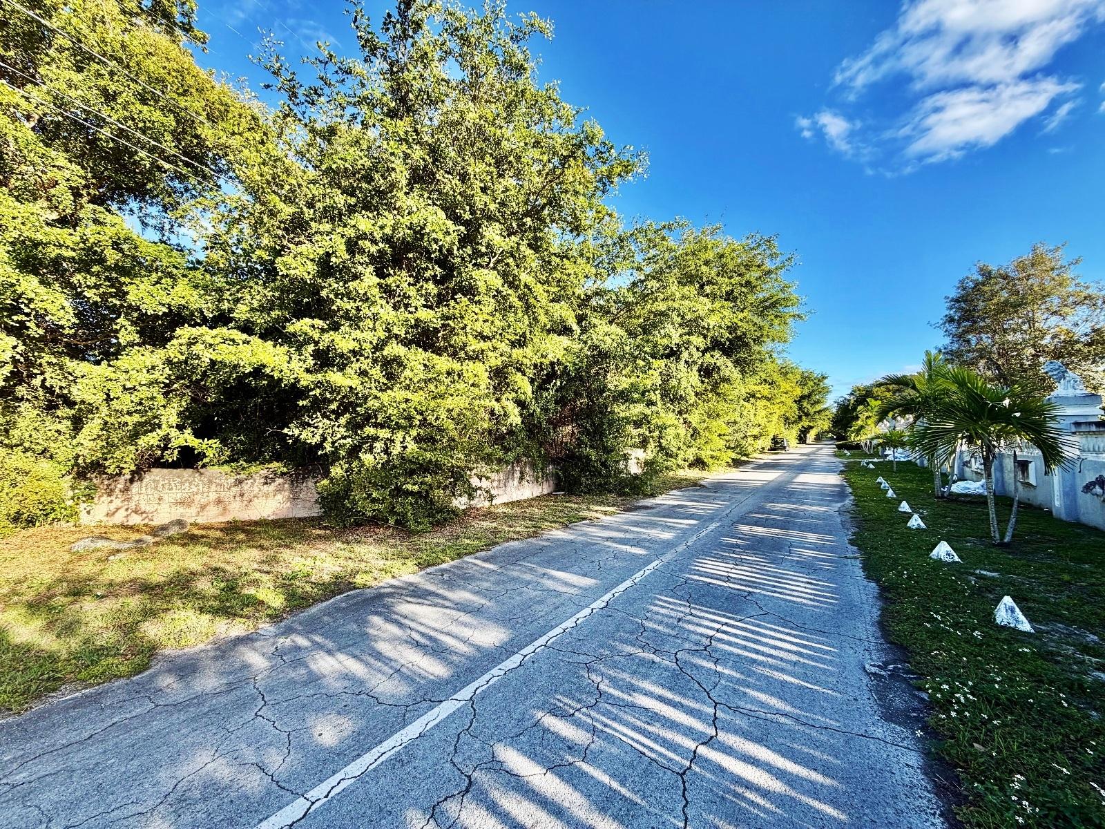 LOT 115, LUCAYAN BEACH