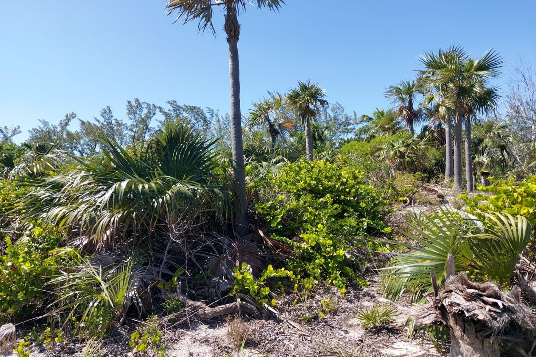 BANKS ROAD BEACHFRONT