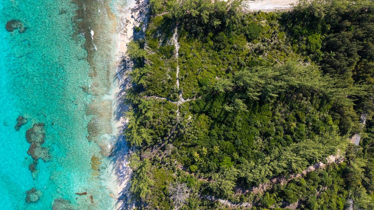 BANKS ROAD BEACHFRONT