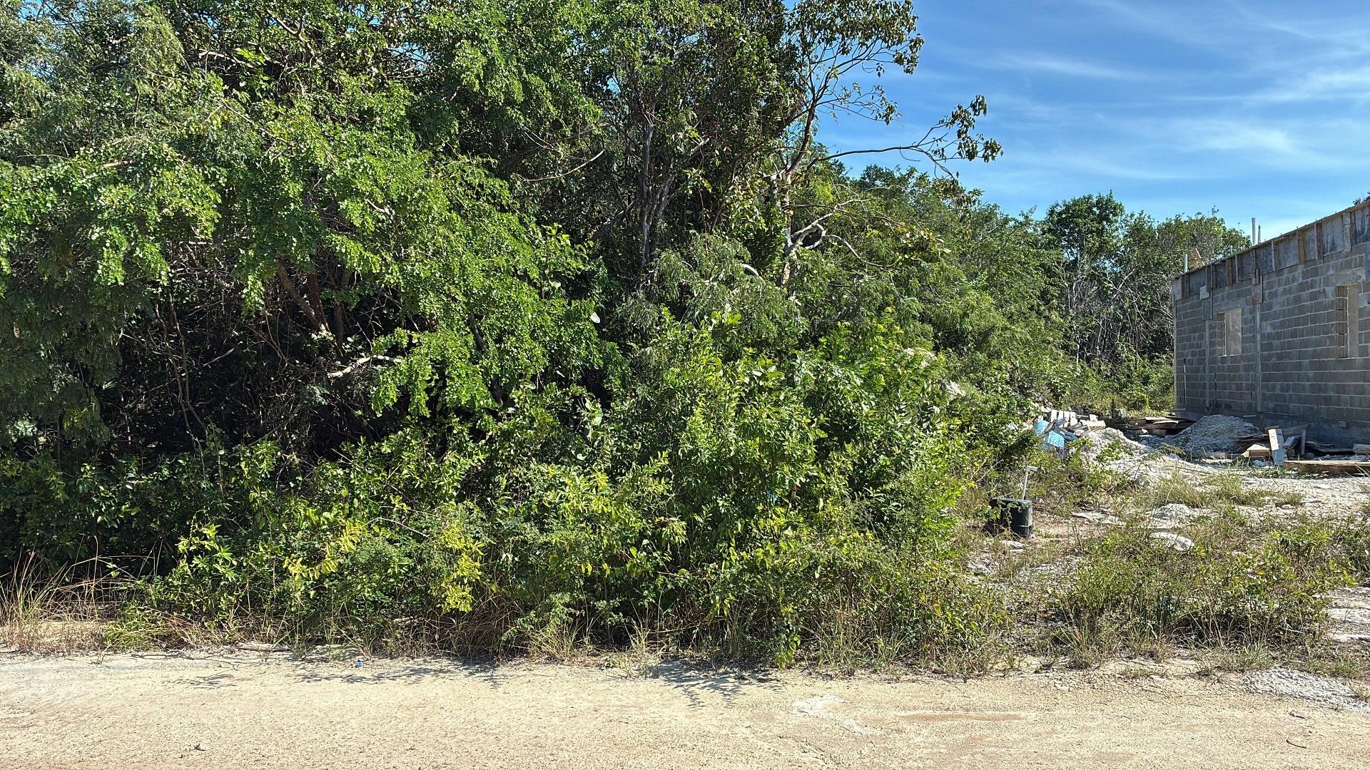 LOT 11680, LOBSTER CAY RD