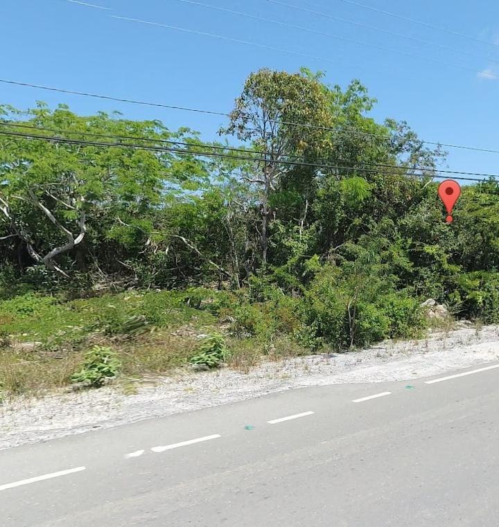 QUEENS HIGHWAY HOPE HILL