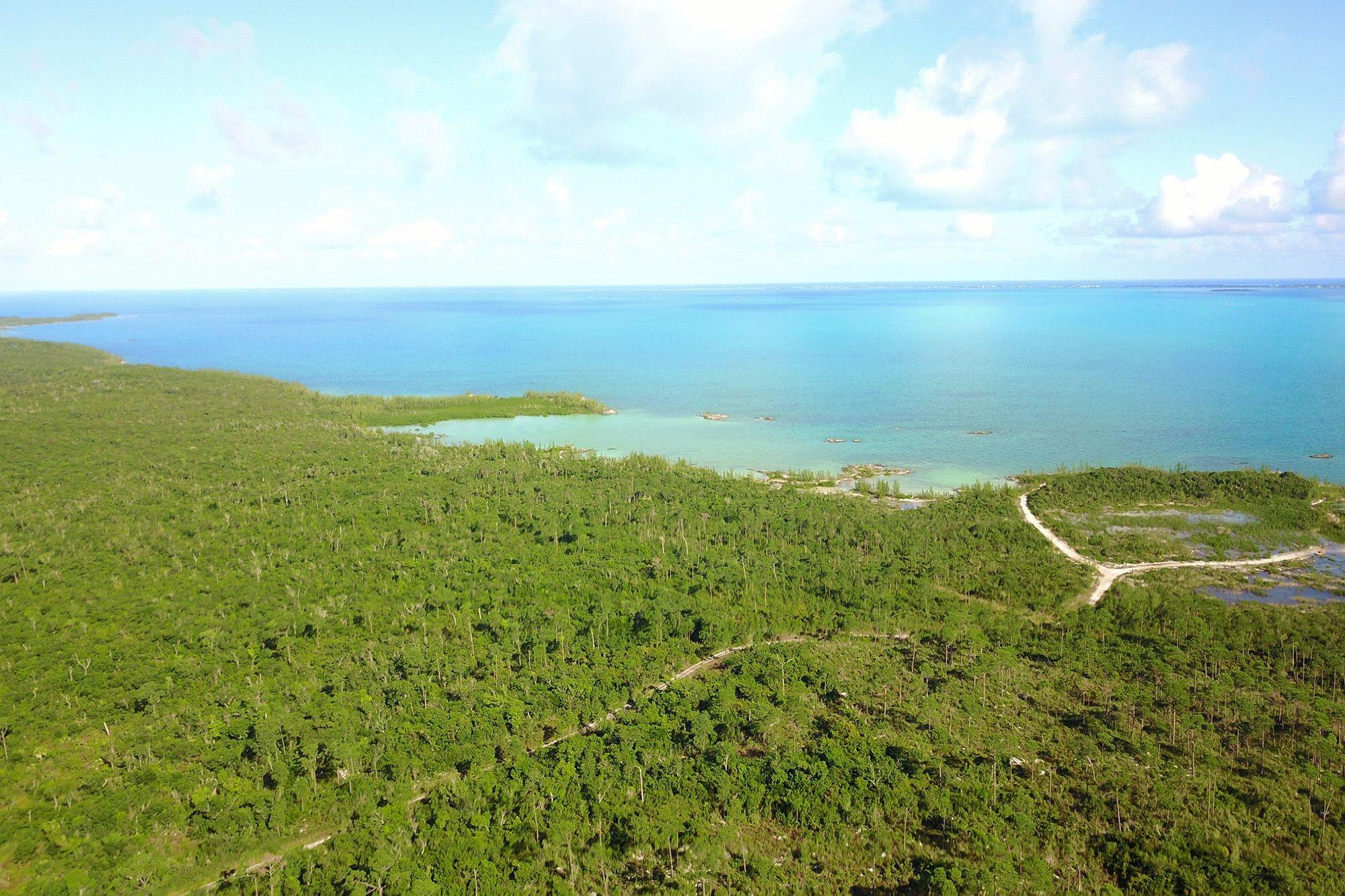 353 ACRES NORTH MARSH HAR