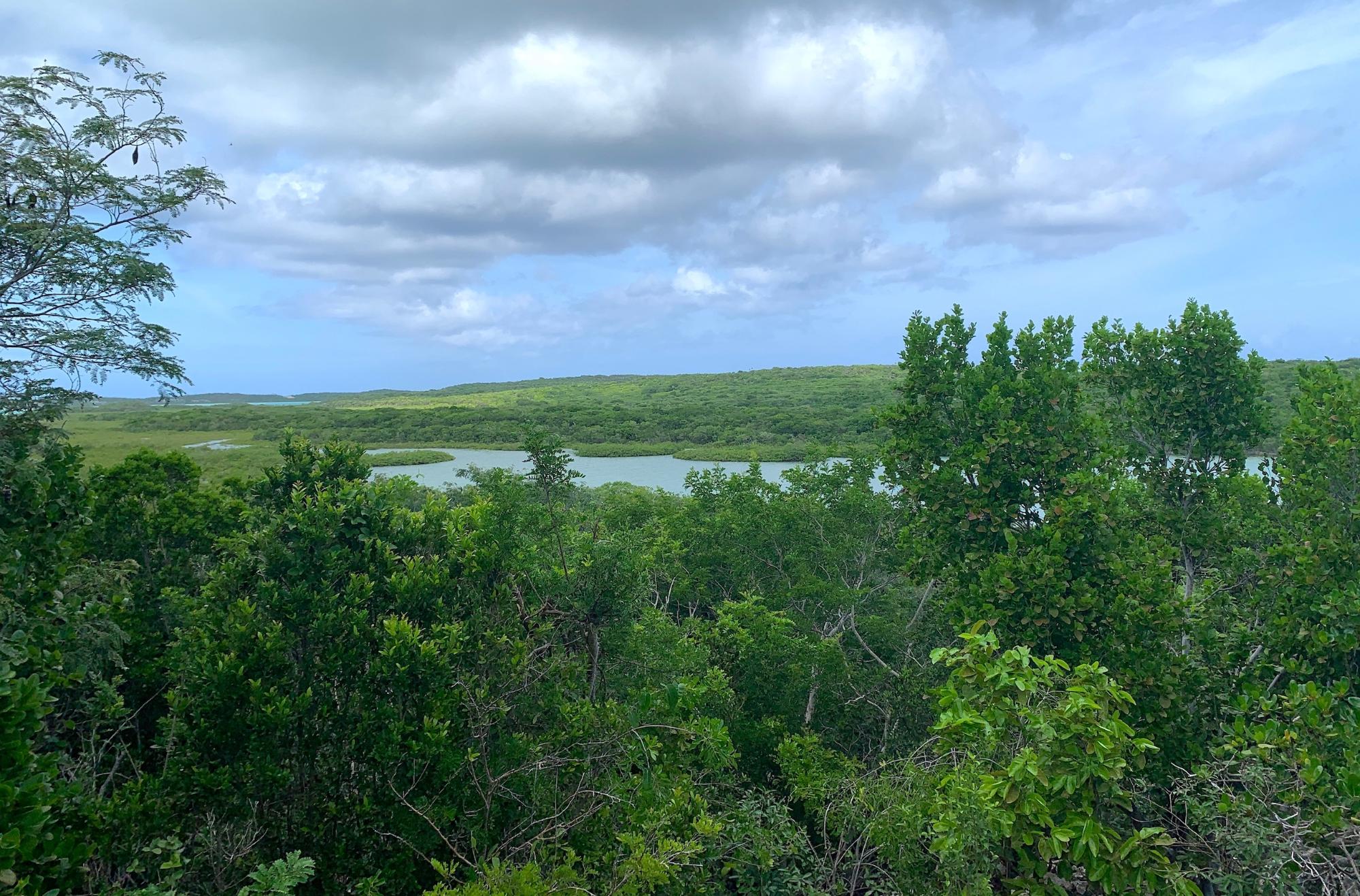 SEYMOUR’S HILLTOP SEAVIEW