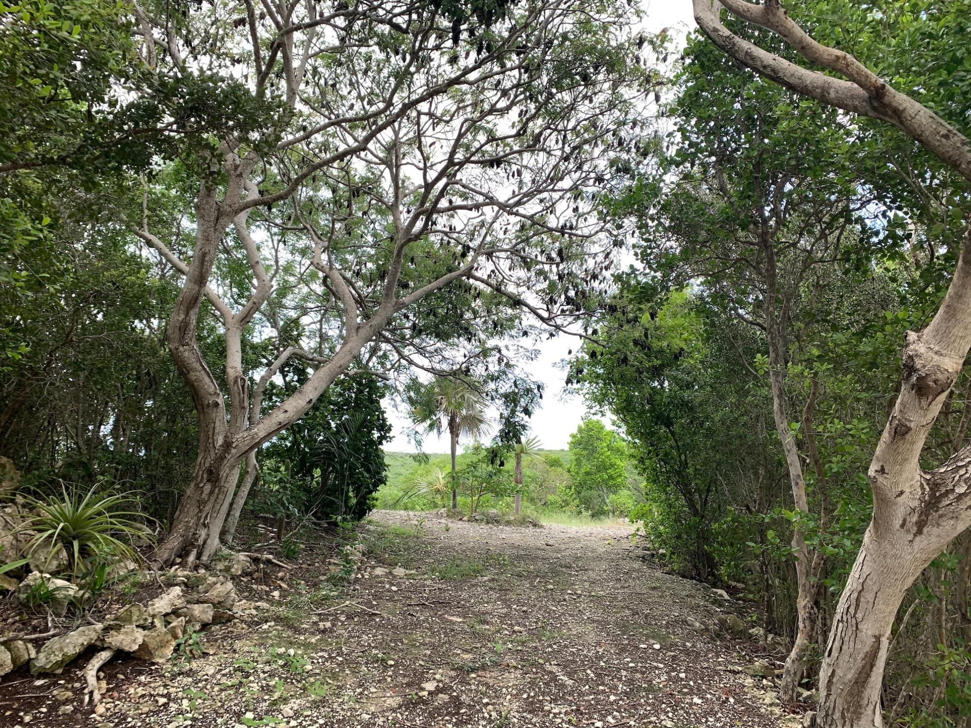 SEYMOUR’S HILLTOP SEAVIEW