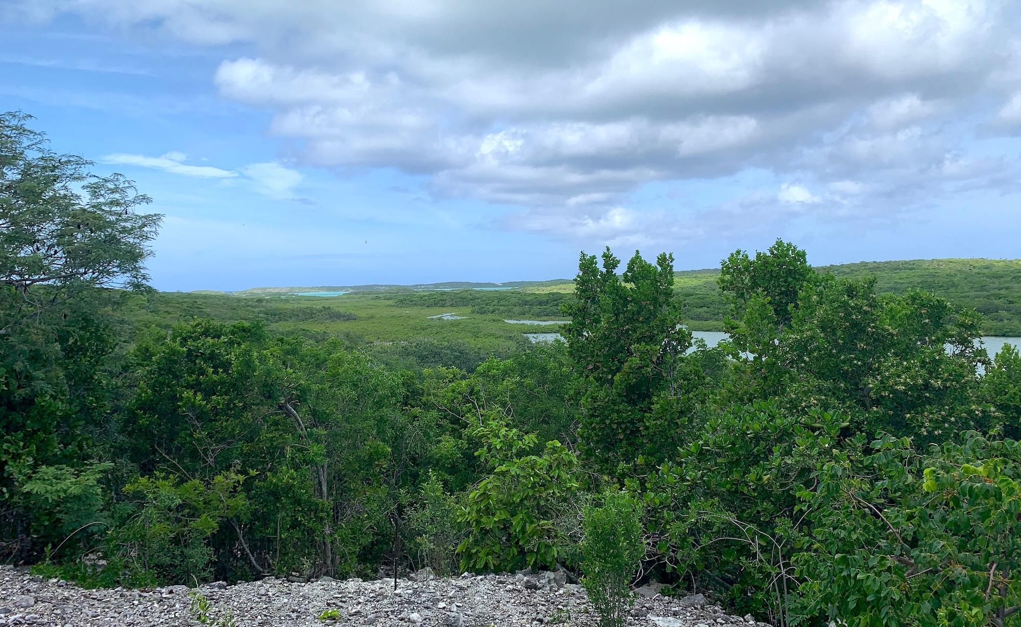 SEYMOUR’S HILLTOP SEAVIEW