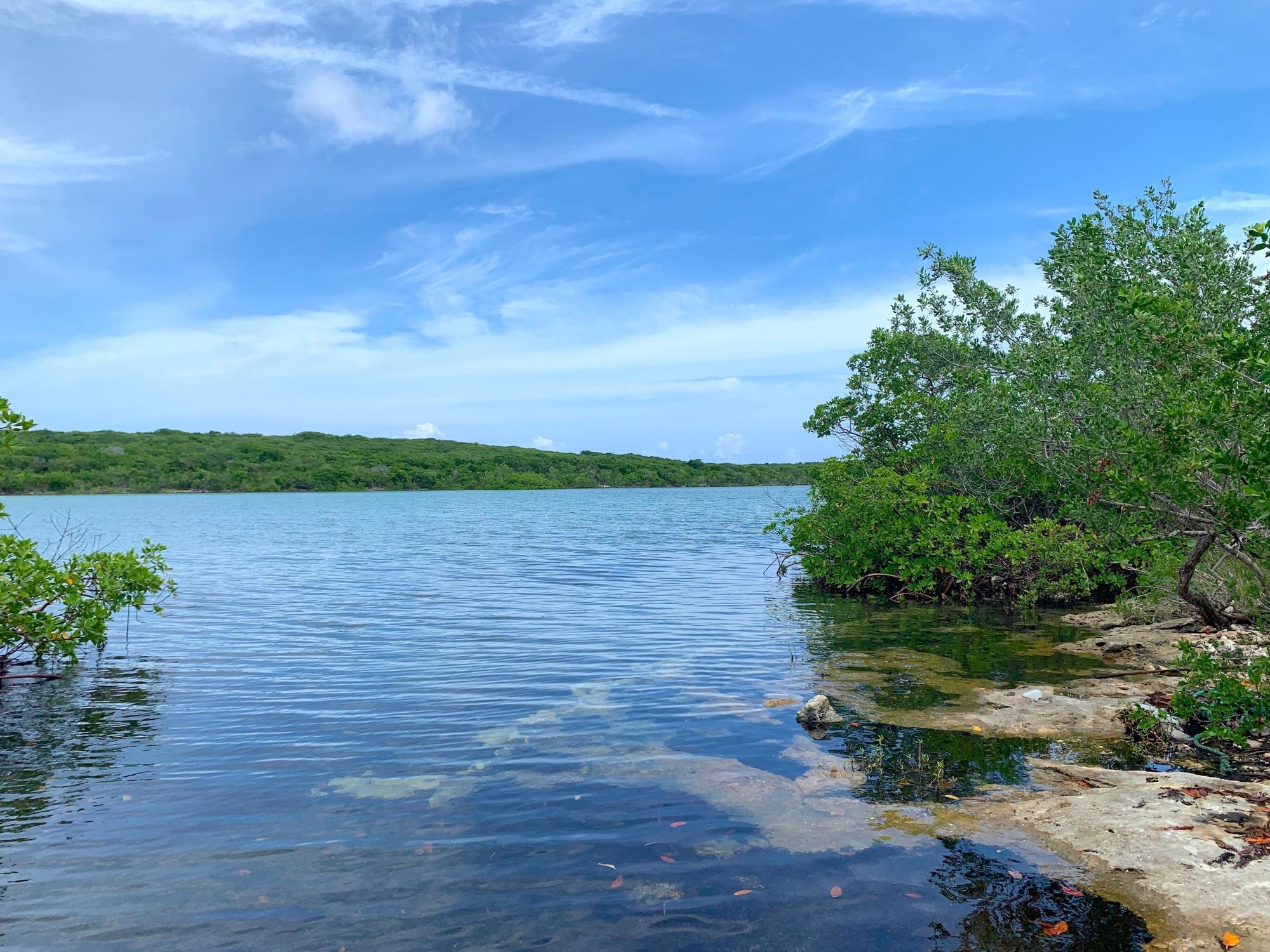 SEYMOUR’S HILLTOP SEAVIEW