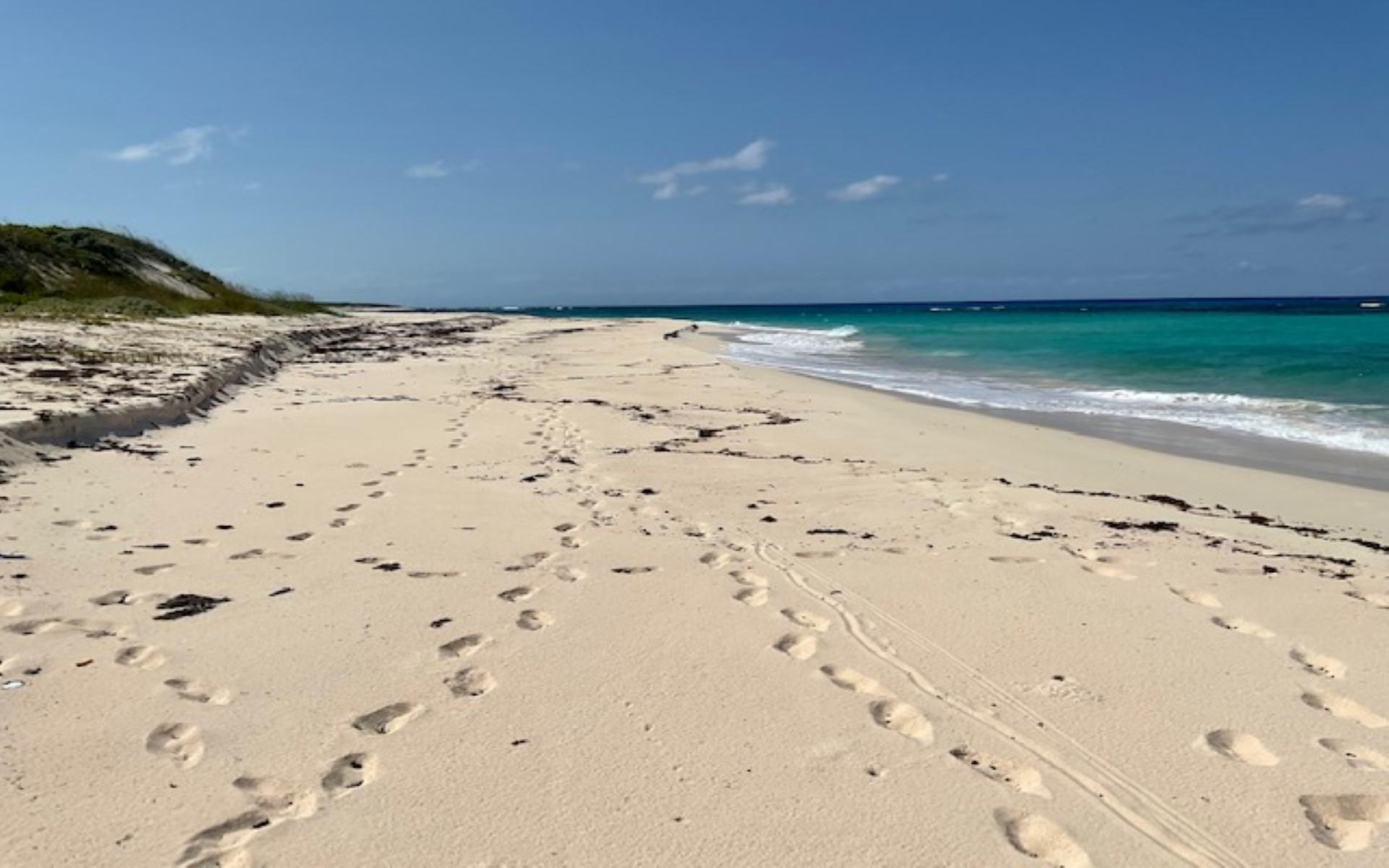 PARCEL A MORRISVILLE