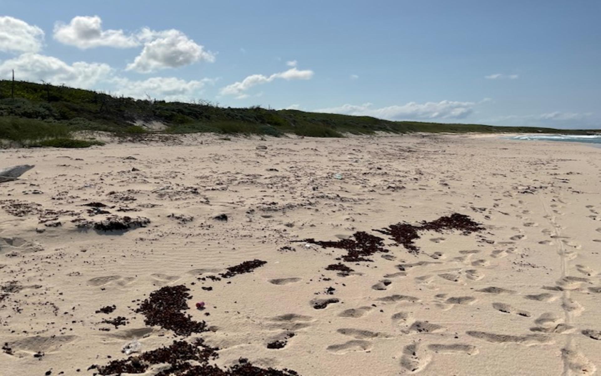 PARCEL A MORRISVILLE