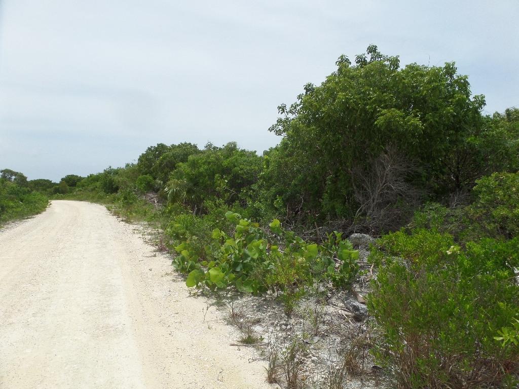 NORTH CROWN CAY